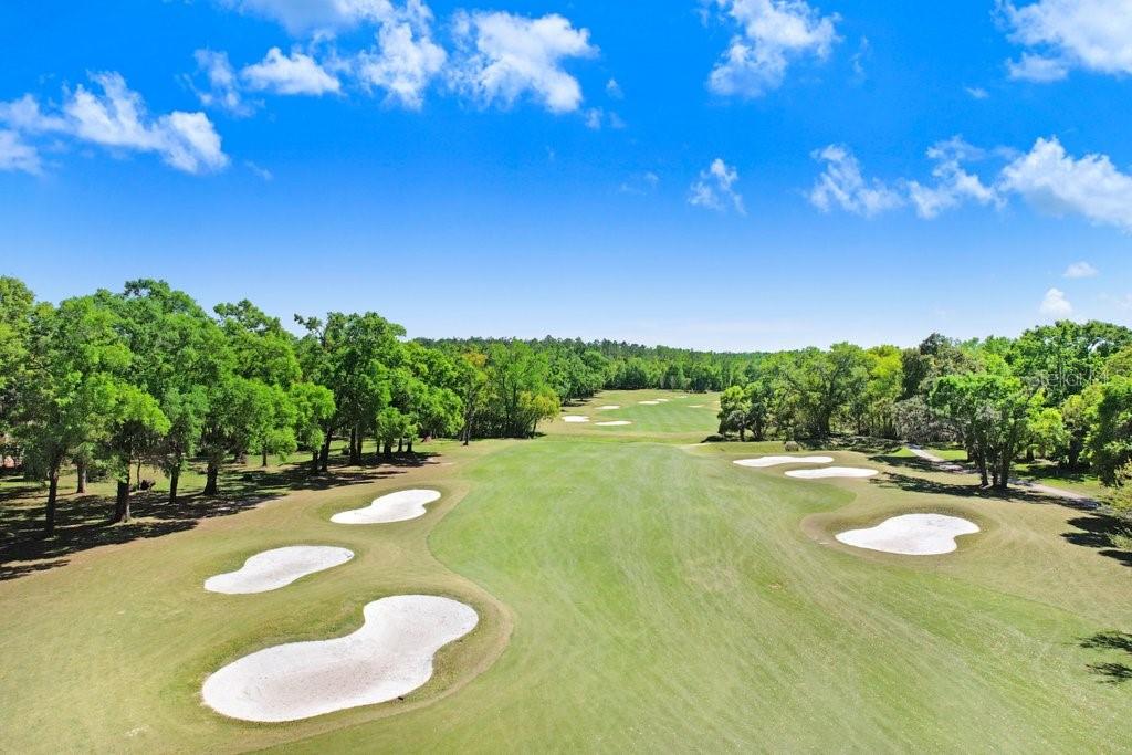 Image 29 of 37 For 12442 Forest Highlands