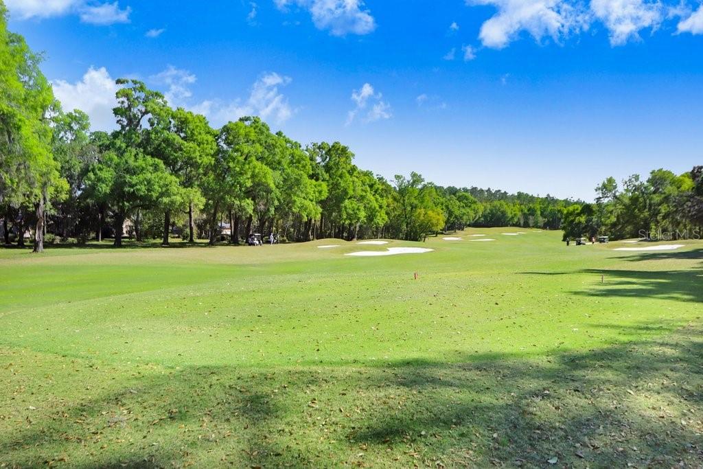 Image 36 of 37 For 12442 Forest Highlands