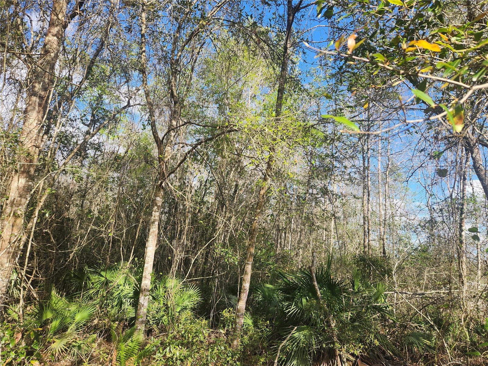 Image 24 of 24 For 2355 State Road 100