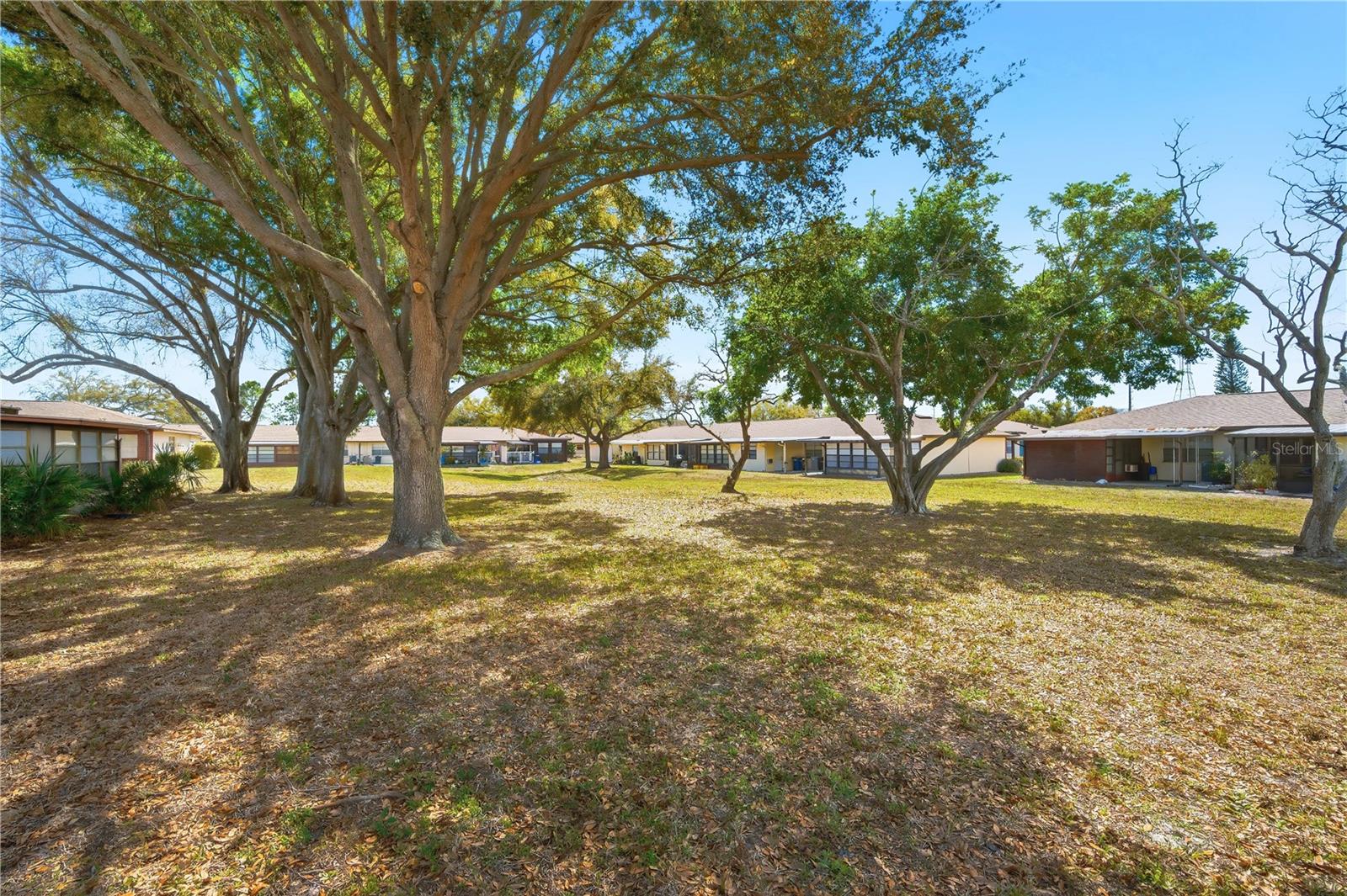 Image 17 of 24 For 24862 Us Highway 19 N 204