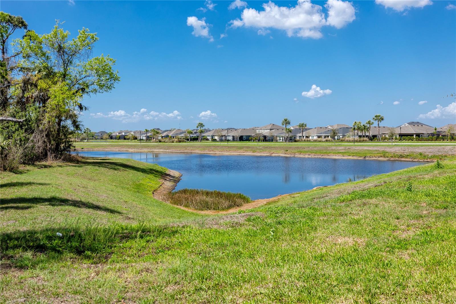 Image 40 of 54 For 5556 Summer Sunset Drive