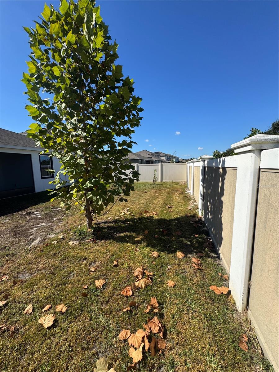 Image 49 of 72 For 10664 Tally Fawn Loop