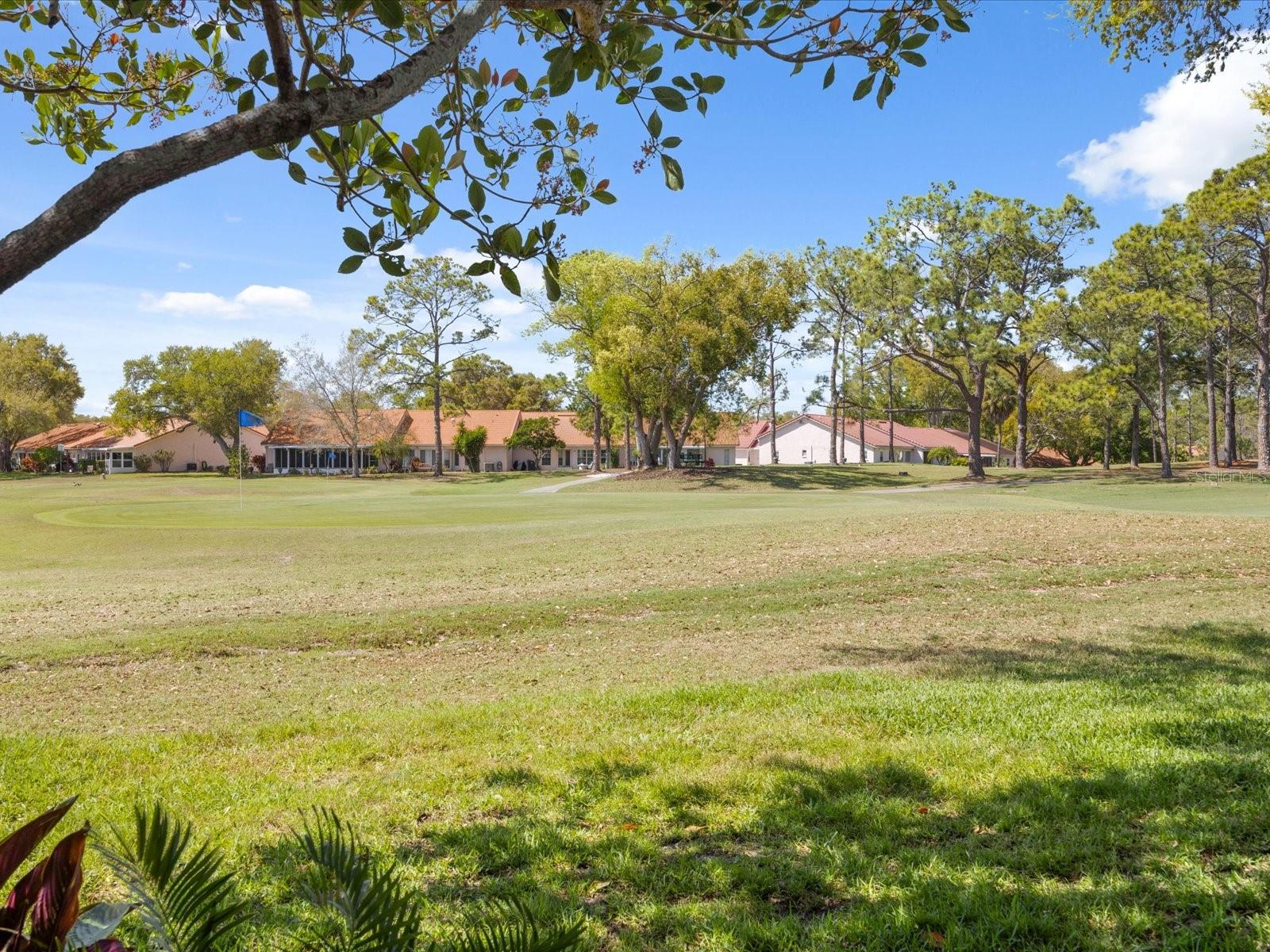 Listing photo id 43 for 984 Gillespie Drive