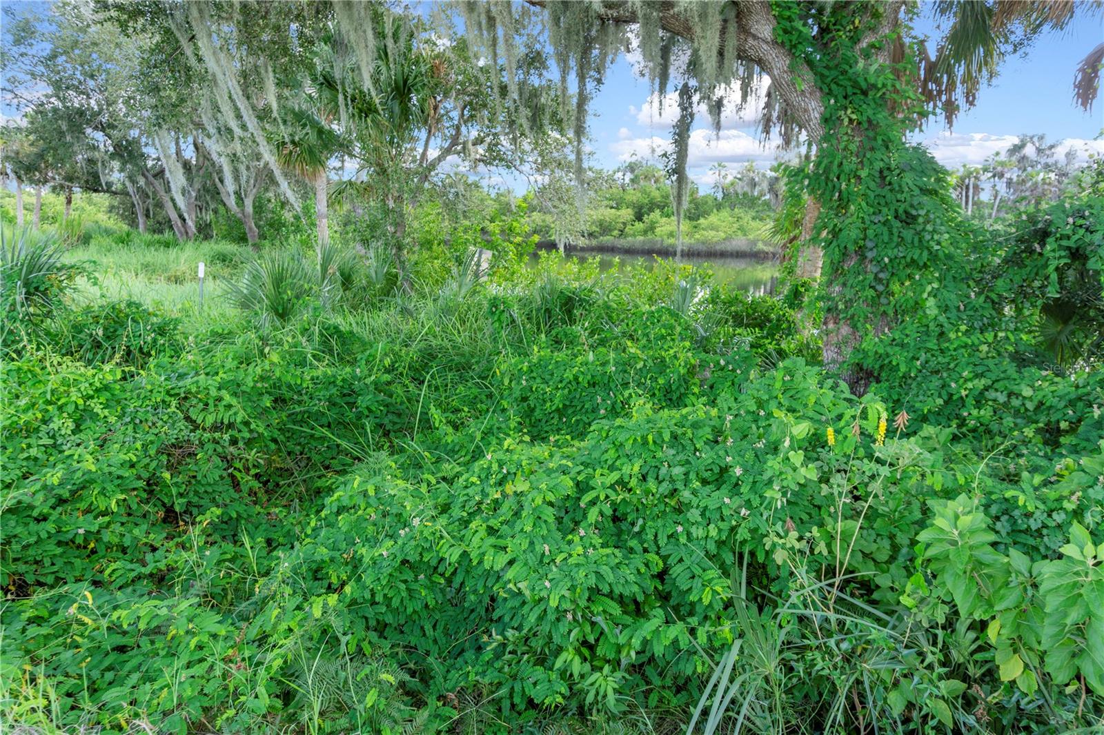 Image 25 of 26 For 11609 Bayou Cove