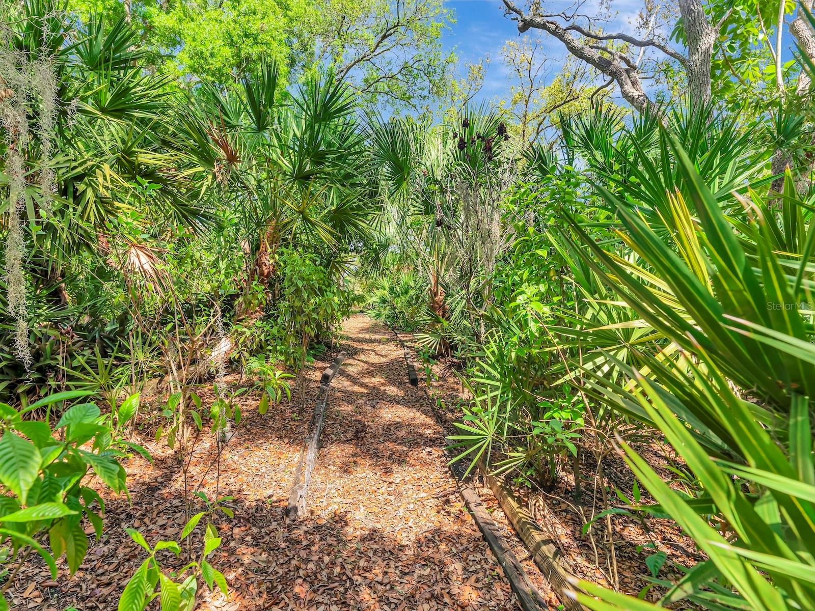 Image 21 of 25 For 1955 Sandalwood Place