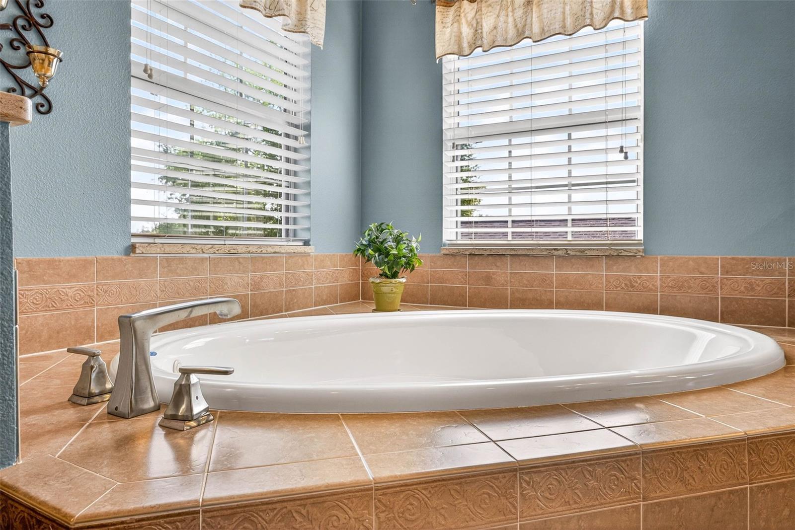 Image 59 of 85 For 16518 Ivy Lake Drive