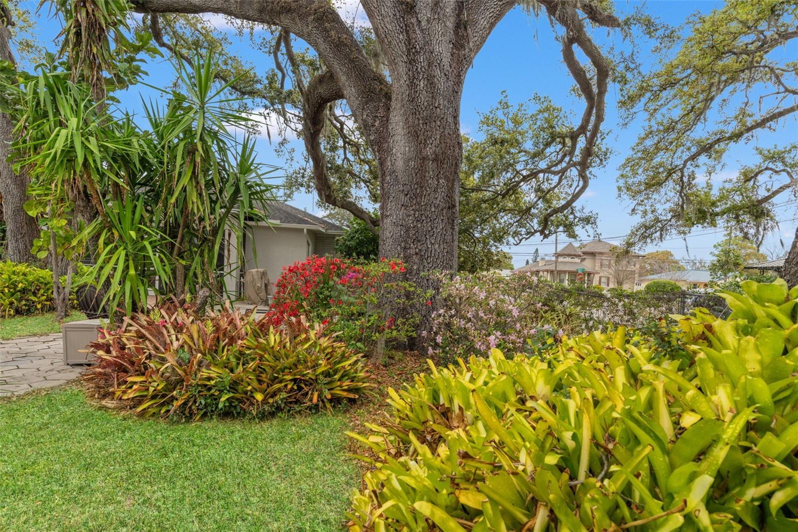 Image 42 of 58 For 1202 Coral Street