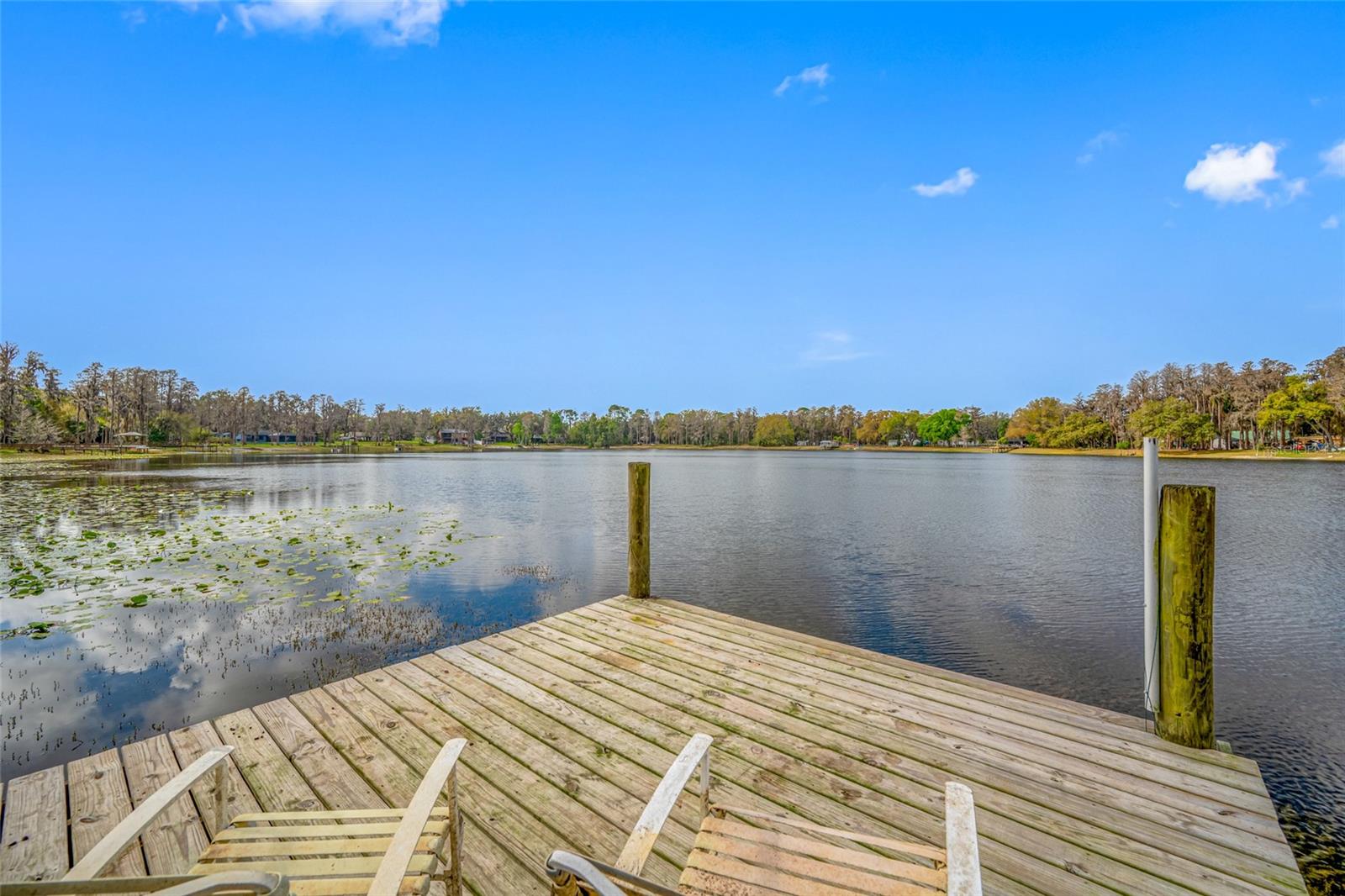 Listing photo id 8 for 19202 Rogers Road