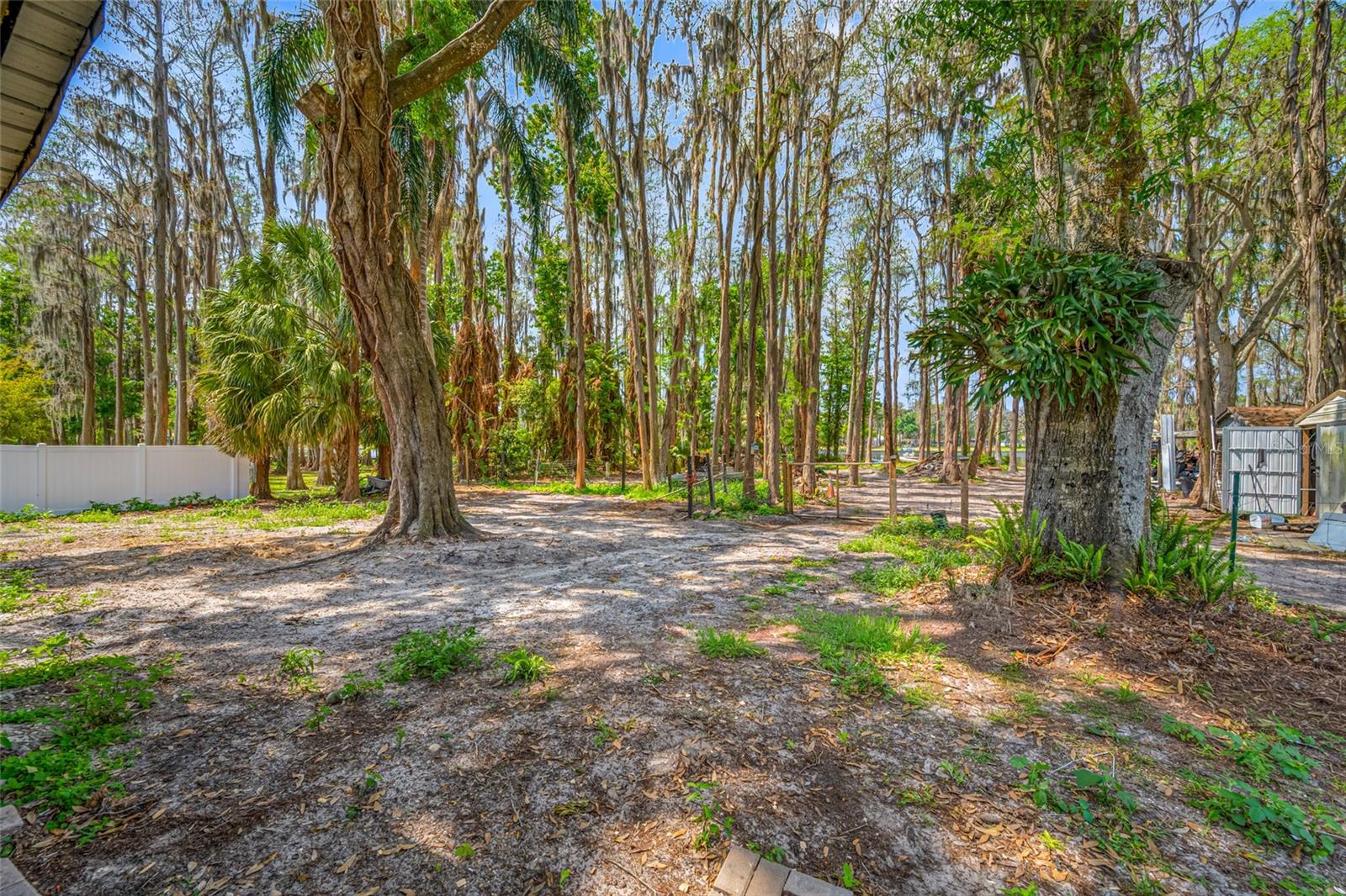 Listing photo id 41 for 19202 Rogers Road