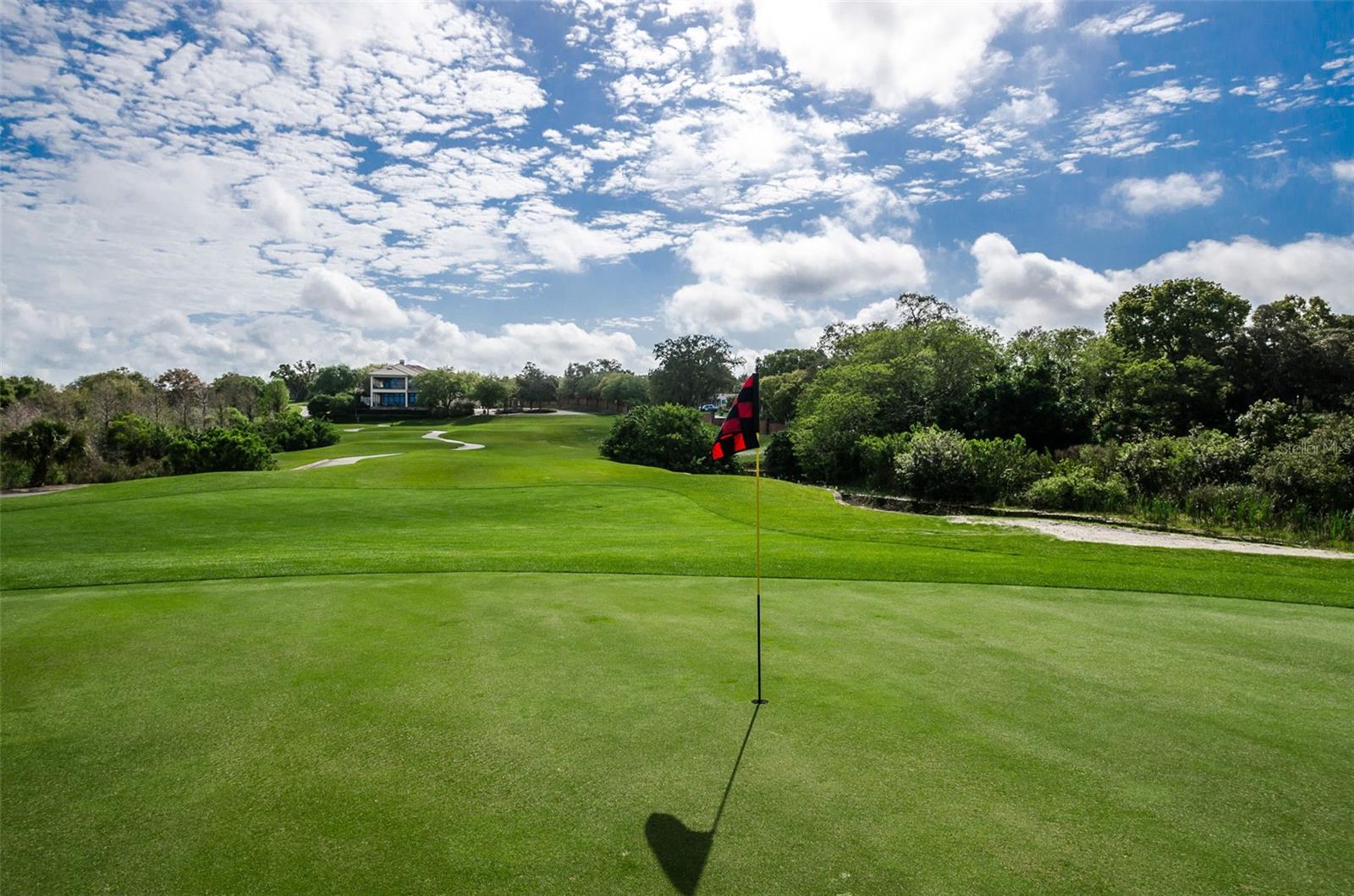 Image 55 of 100 For 36750 Us Highway 19  26-204