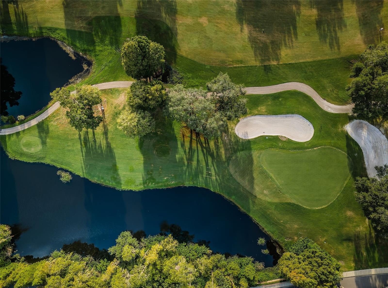 Image 61 of 100 For 36750 Us Highway 19  26-204