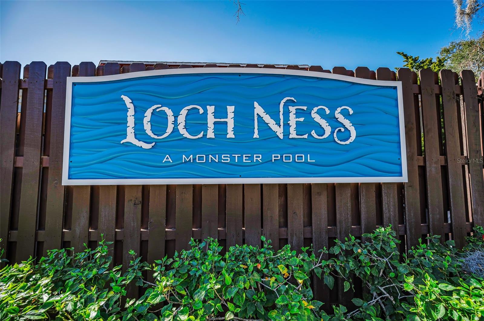 Image 65 of 100 For 36750 Us Highway 19  26-204