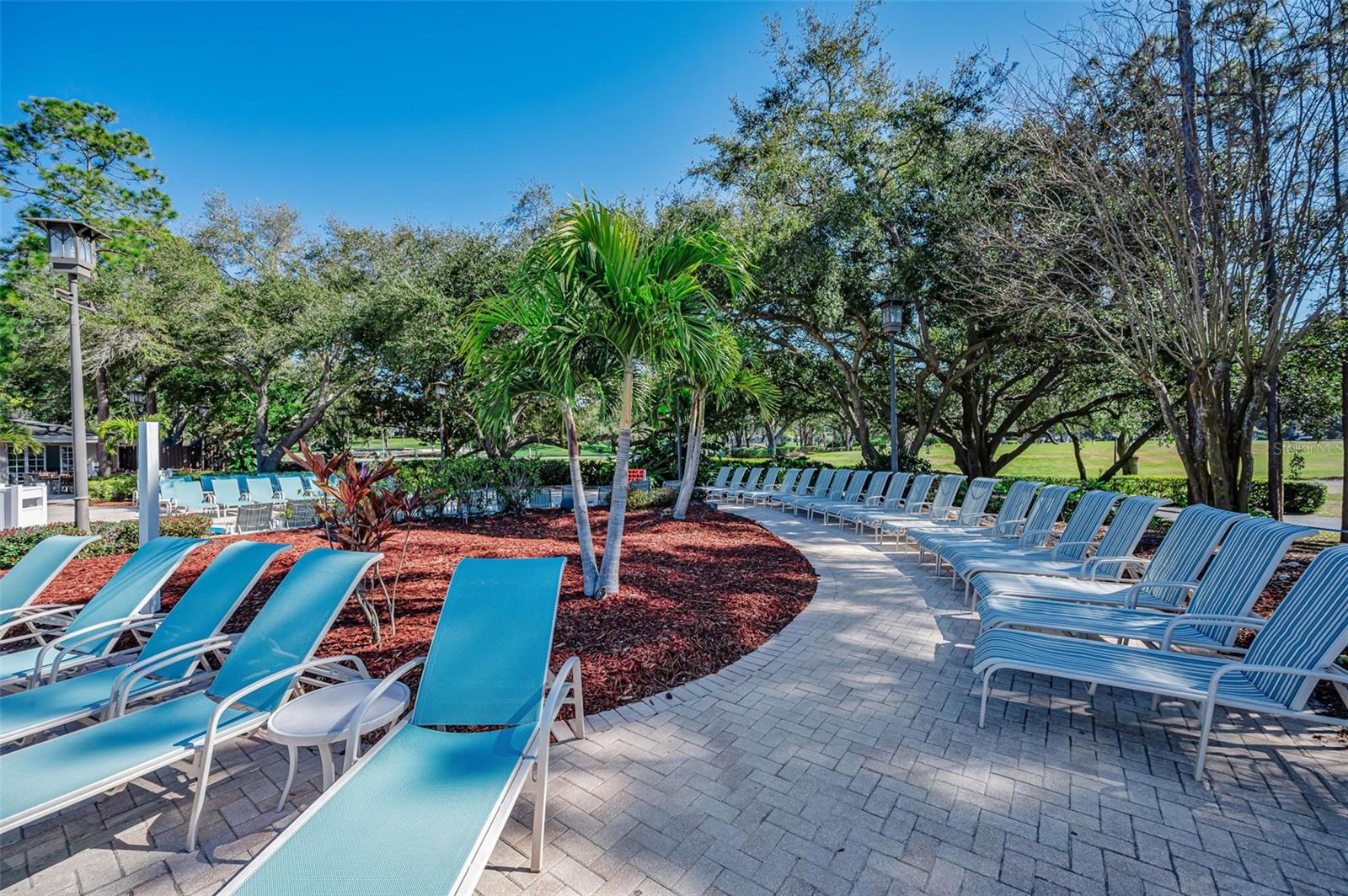 Image 74 of 100 For 36750 Us Highway 19  26-204