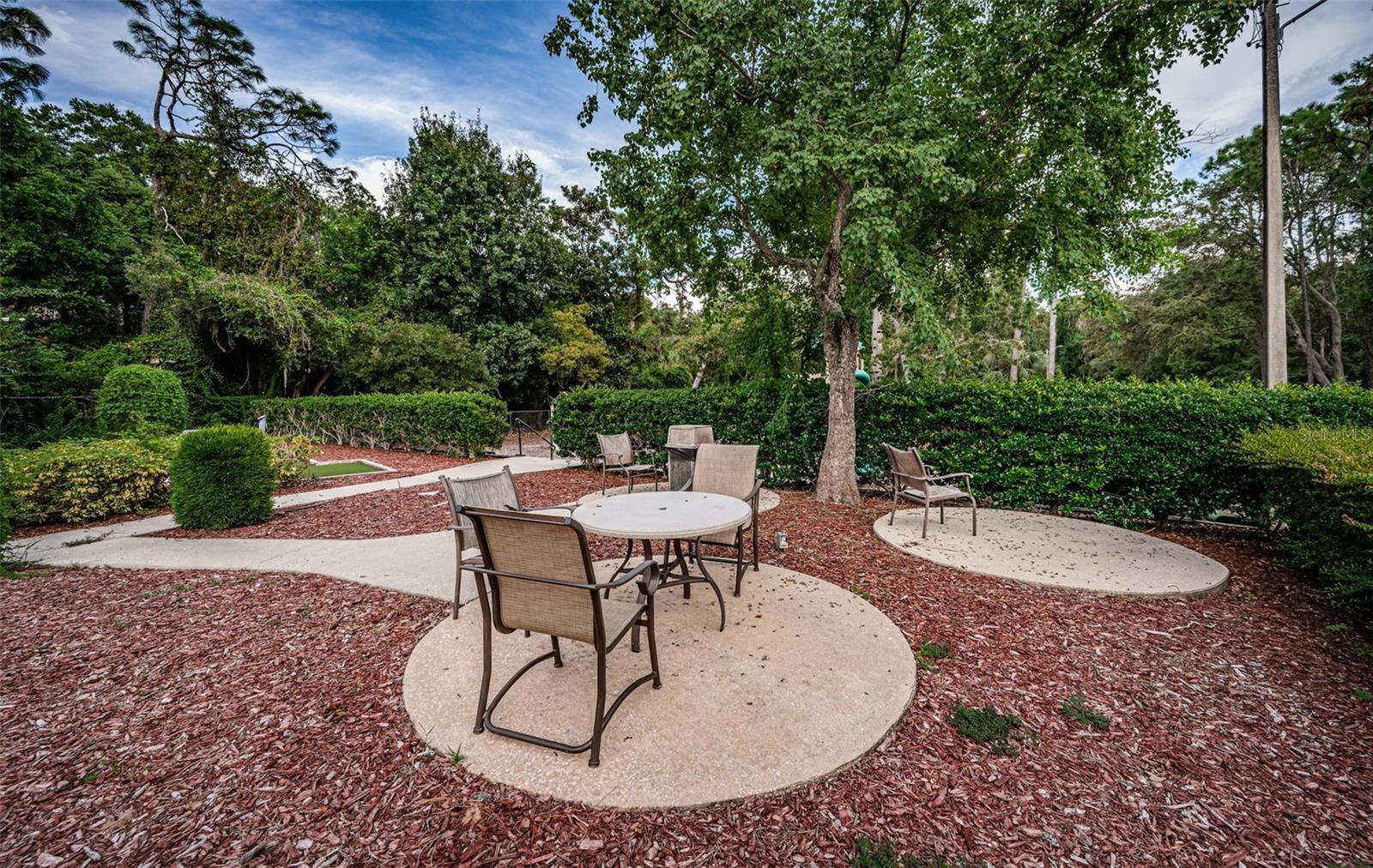 Image 90 of 100 For 36750 Us Highway 19  26-204