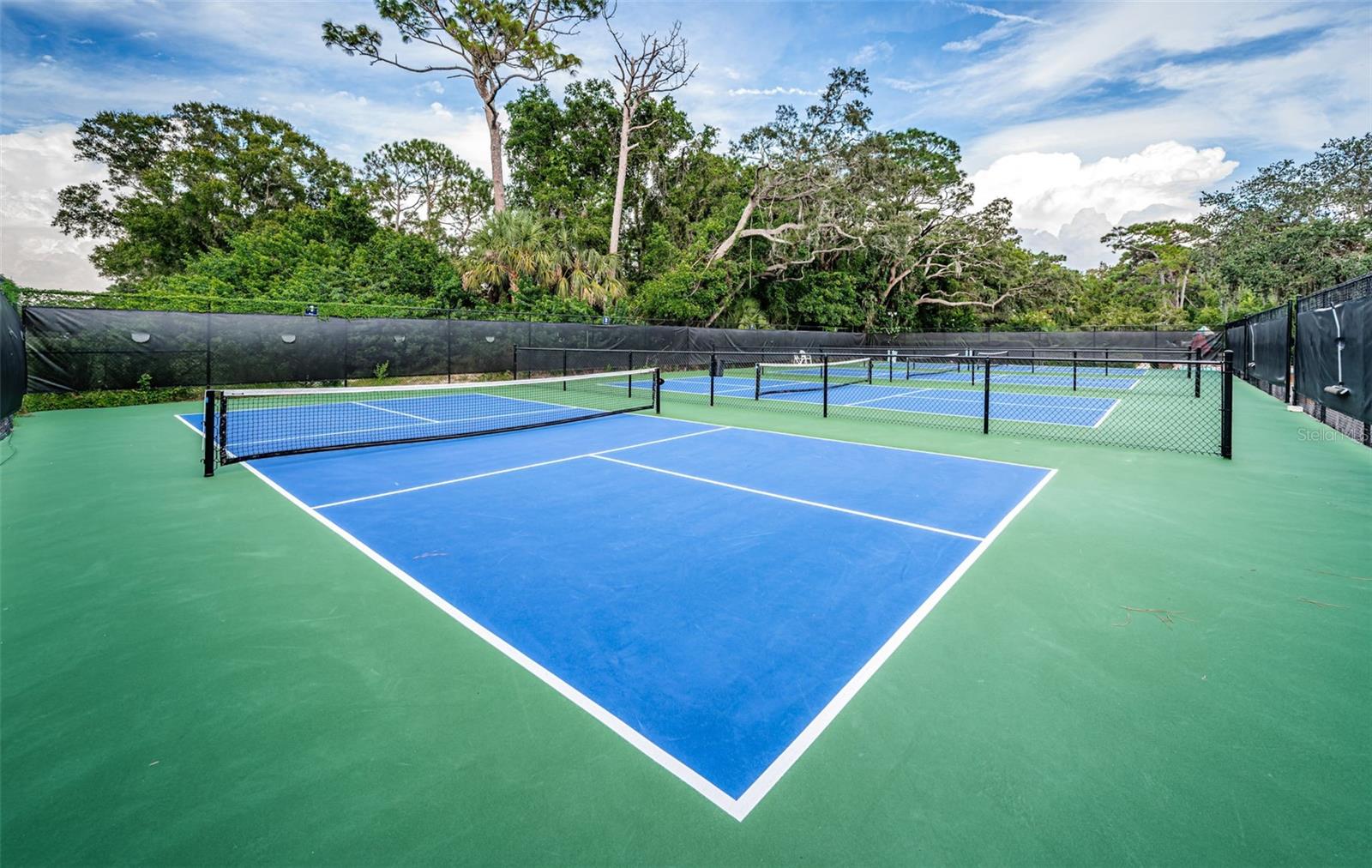 Image 91 of 100 For 36750 Us Highway 19  26-204