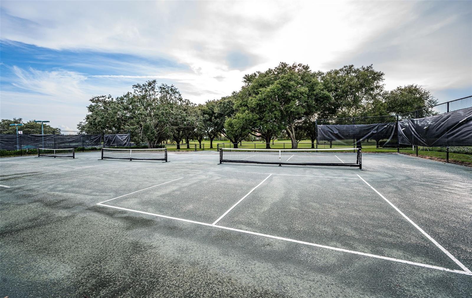 Image 92 of 100 For 36750 Us Highway 19  26-204