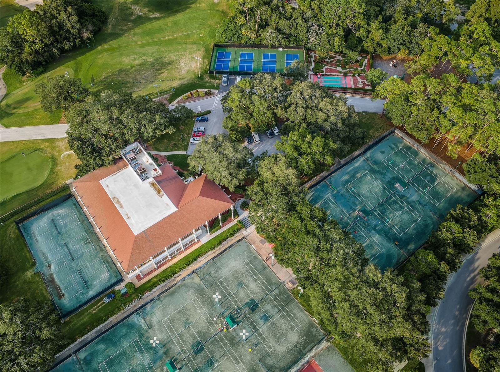 Image 97 of 100 For 36750 Us Highway 19  26-204