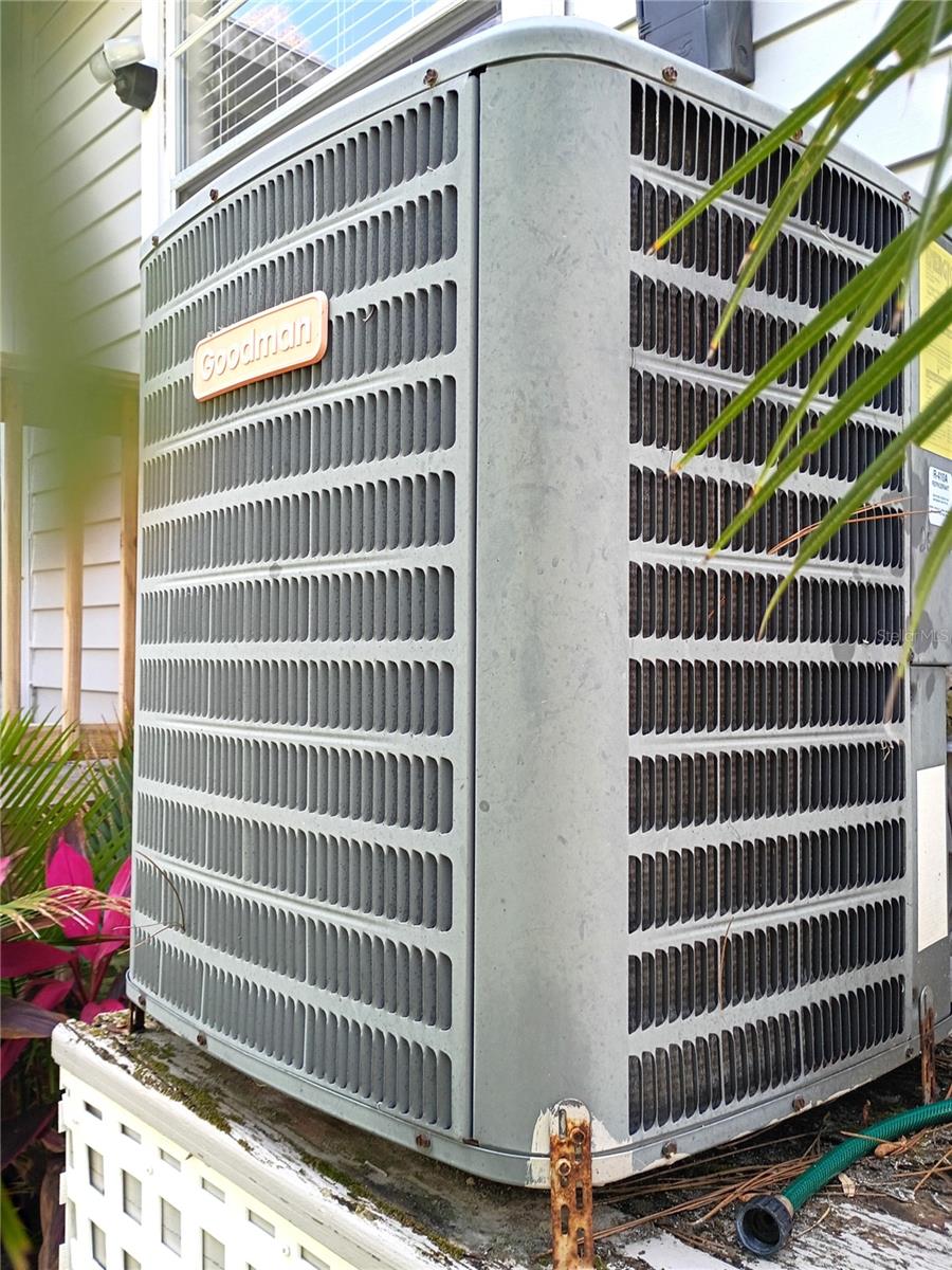 Image 38 of 40 For 39650 Us Highway 19 N 631