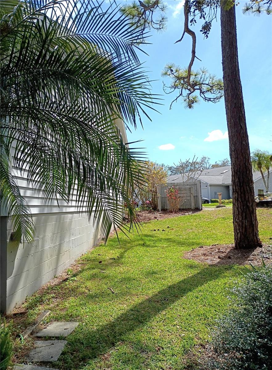 Image 39 of 40 For 39650 Us Highway 19 N 631