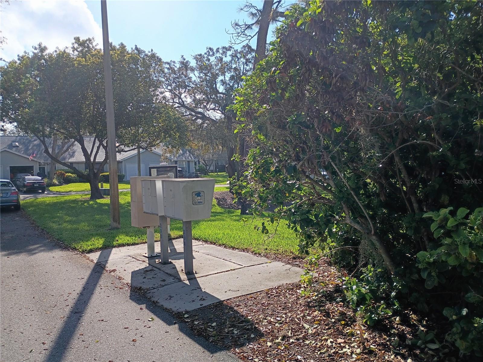 Image 40 of 40 For 39650 Us Highway 19 N 631