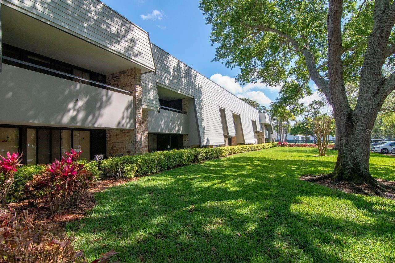 Image 37 of 46 For 36750 Us Highway 19 N 7-108