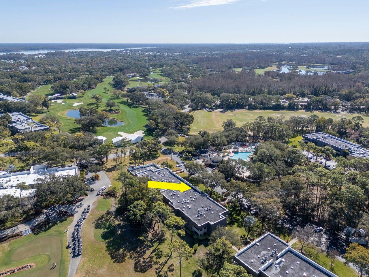 Image 43 of 46 For 36750 Us Highway 19 N 7-108