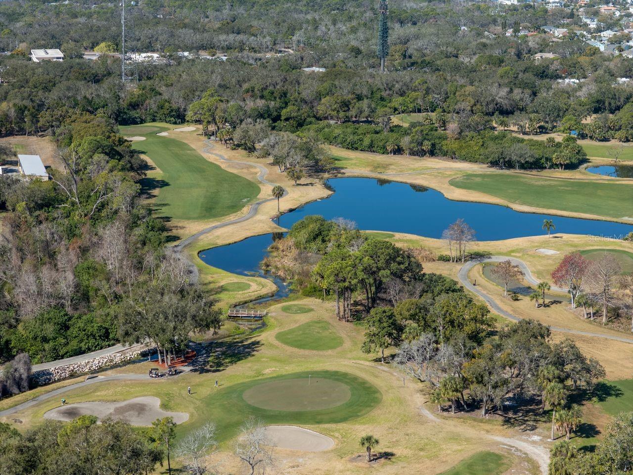 Image 44 of 46 For 36750 Us Highway 19 N 7-108