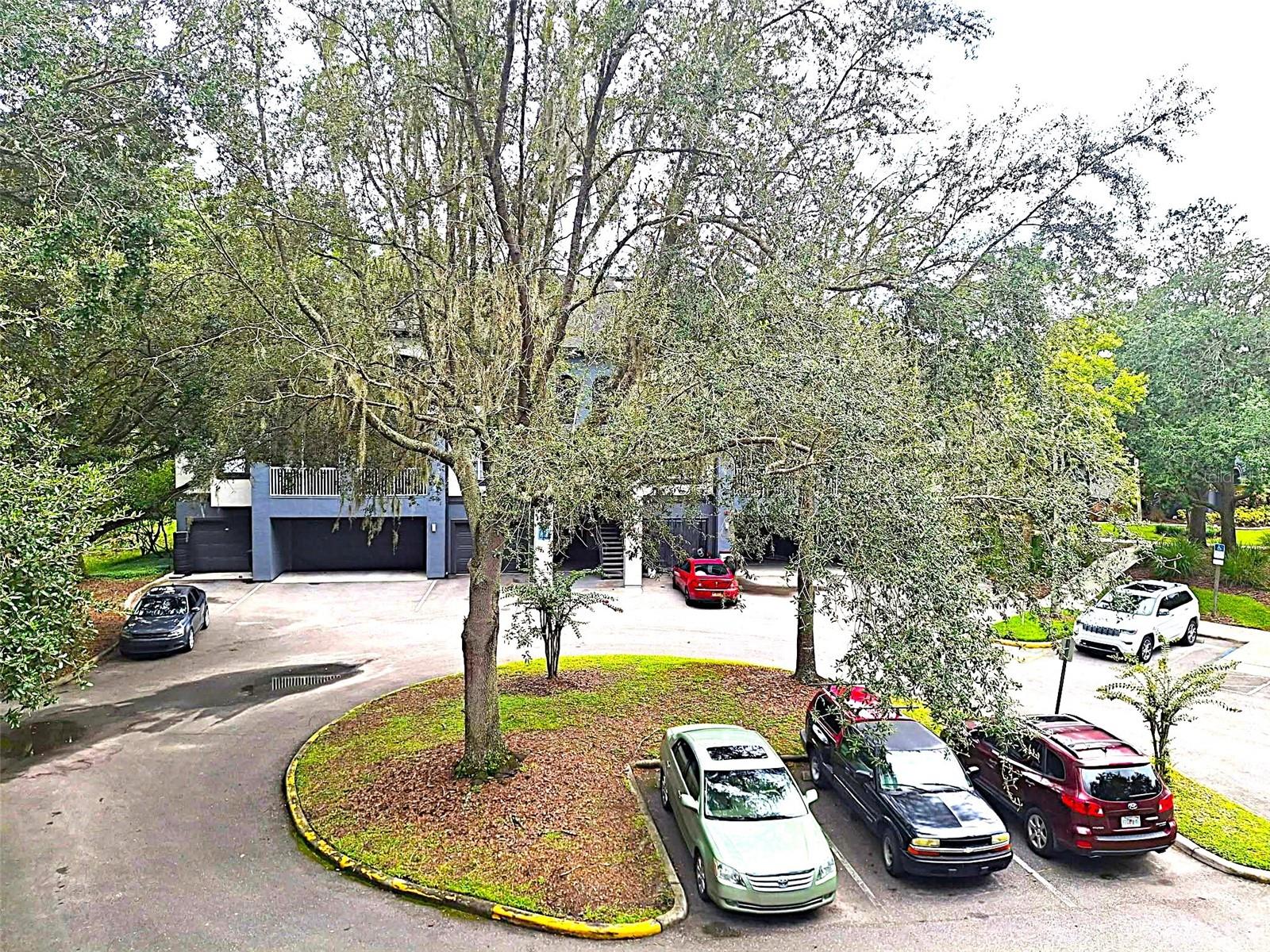 Image 28 of 62 For 13304 Sanctuary Cove Drive 303