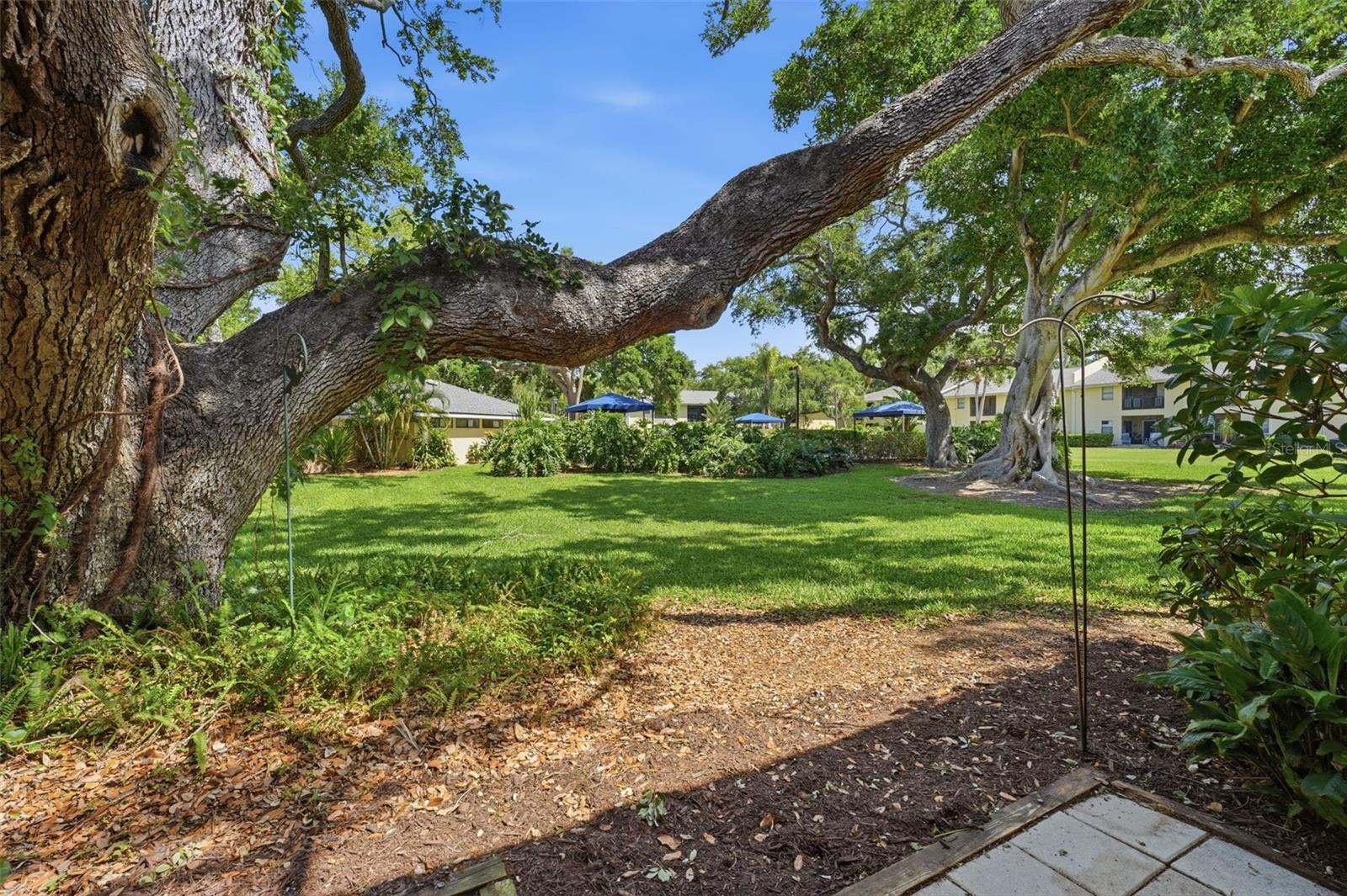 Image 28 of 52 For 3001 58th Avenue S 1015