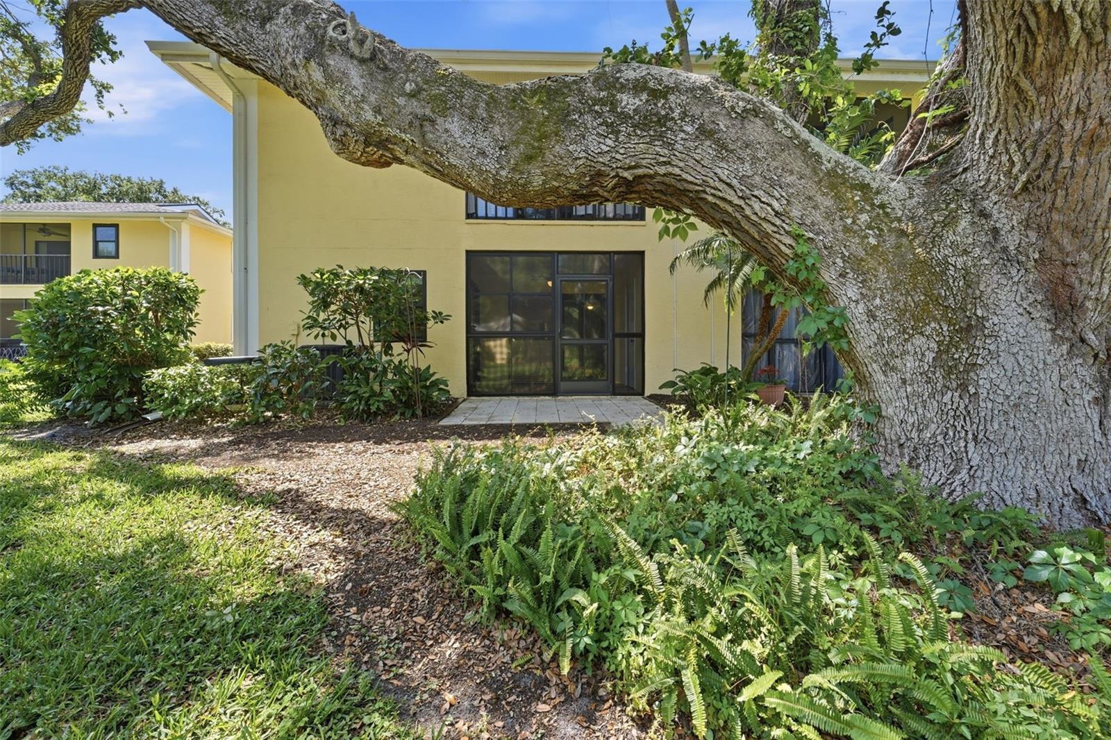 Image 29 of 52 For 3001 58th Avenue S 1015