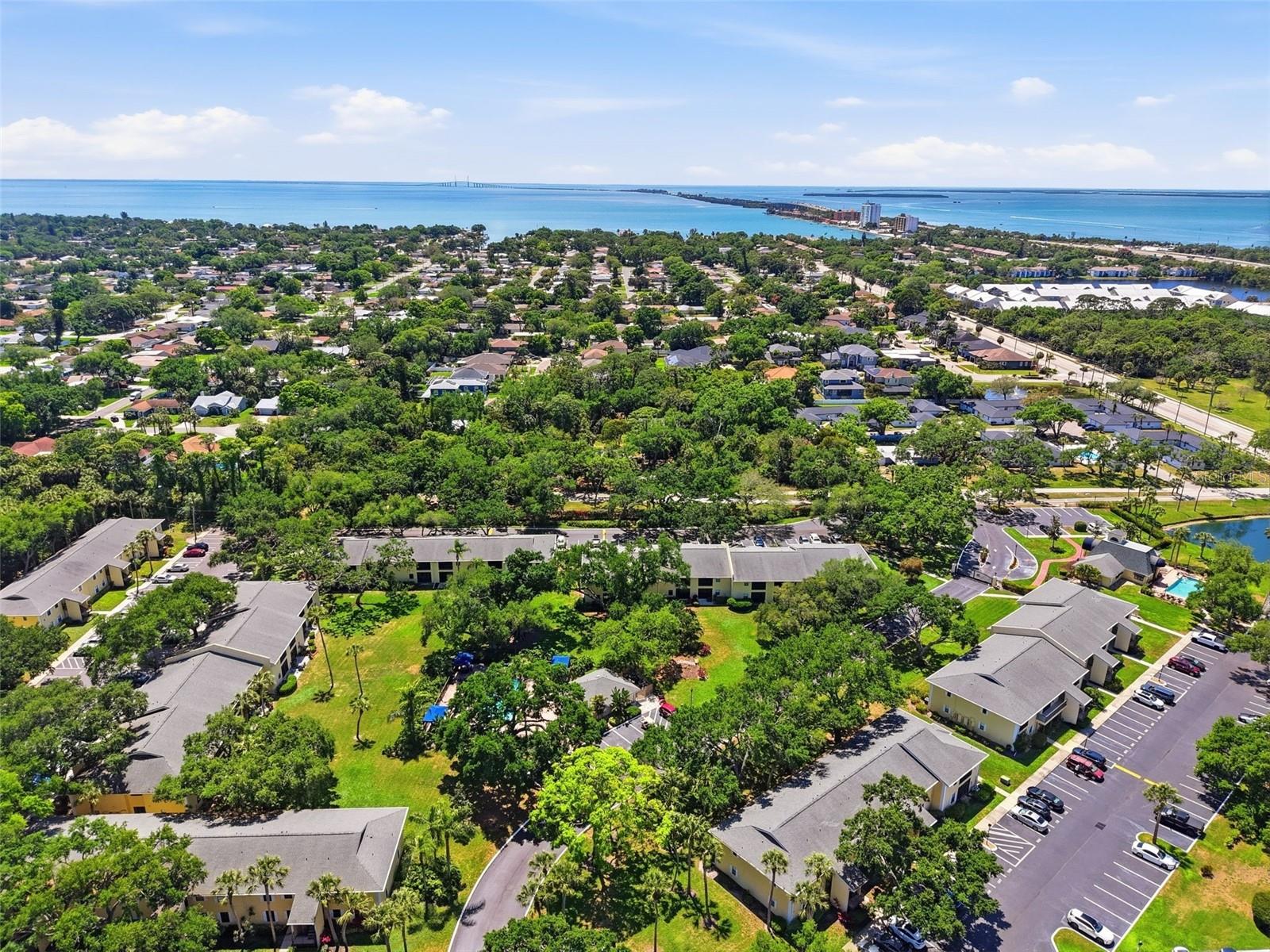 Image 48 of 52 For 3001 58th Avenue S 1015