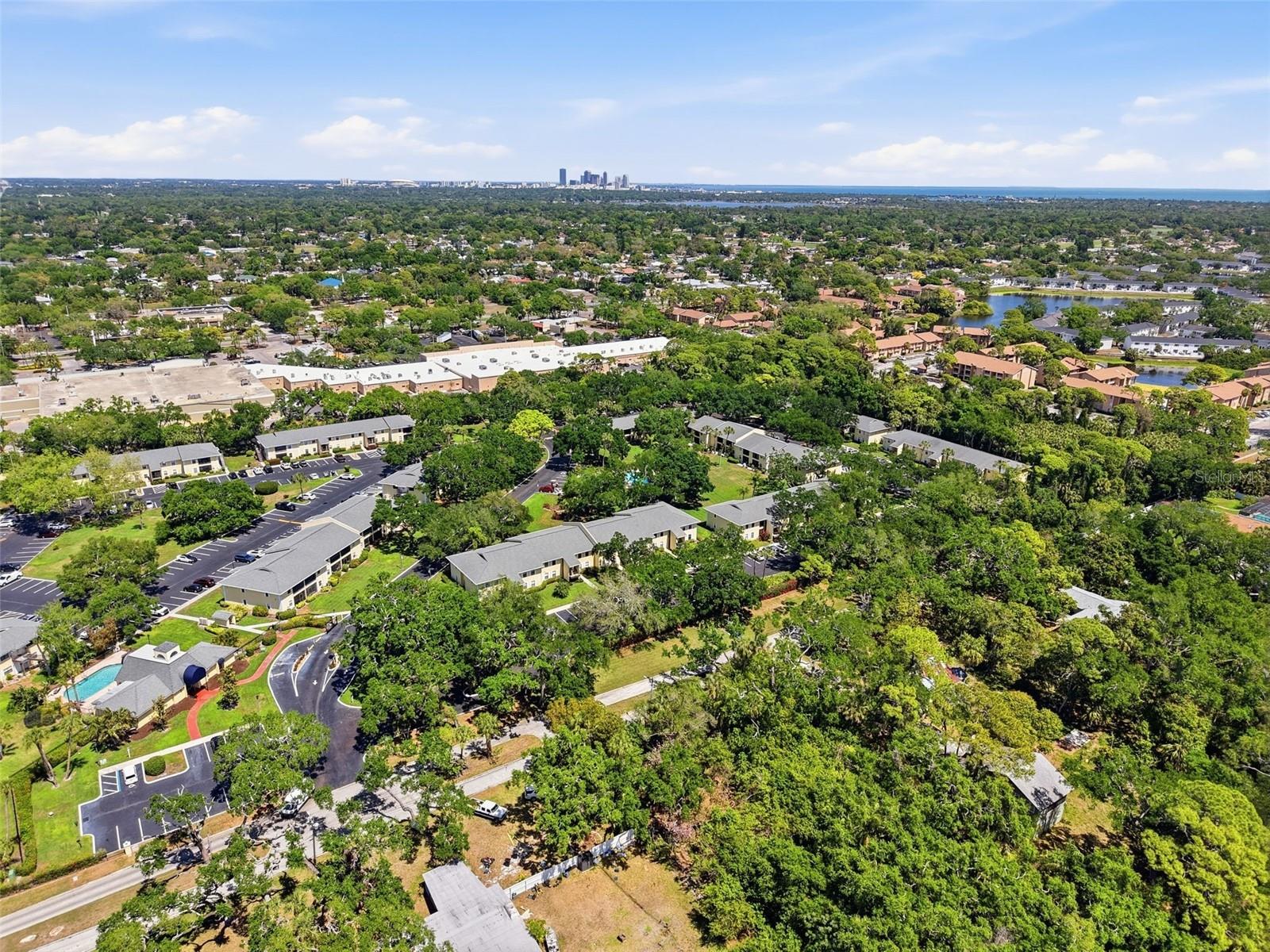 Image 49 of 52 For 3001 58th Avenue S 1015