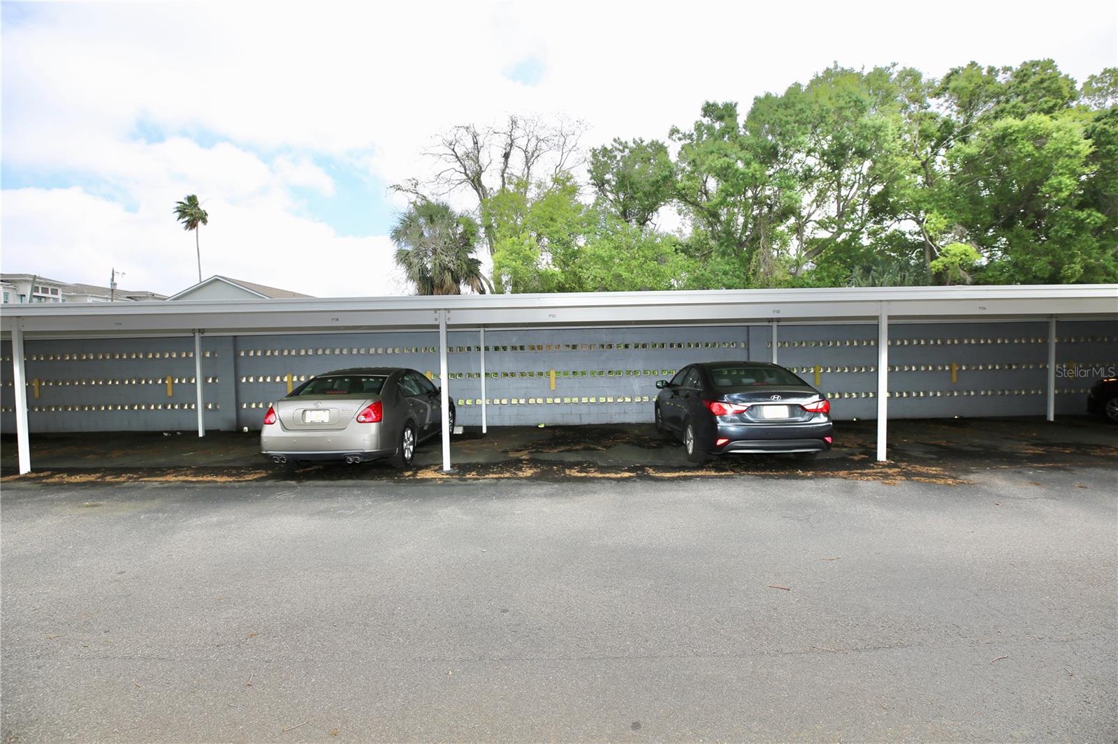 Image 39 of 39 For 1713 Belleair Forest Drive C