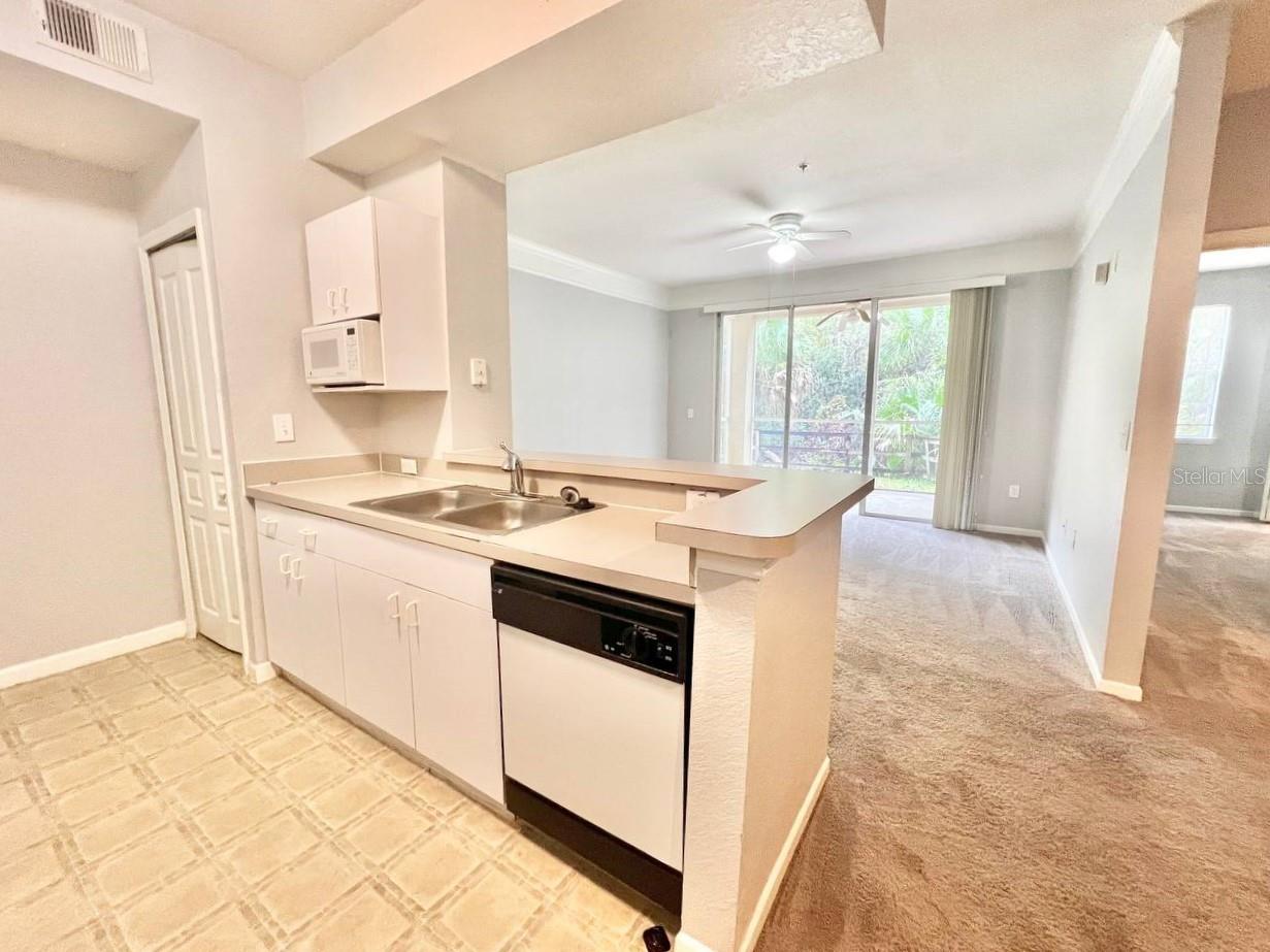 Image 10 of 30 For 17110 Carrington Park Drive 826