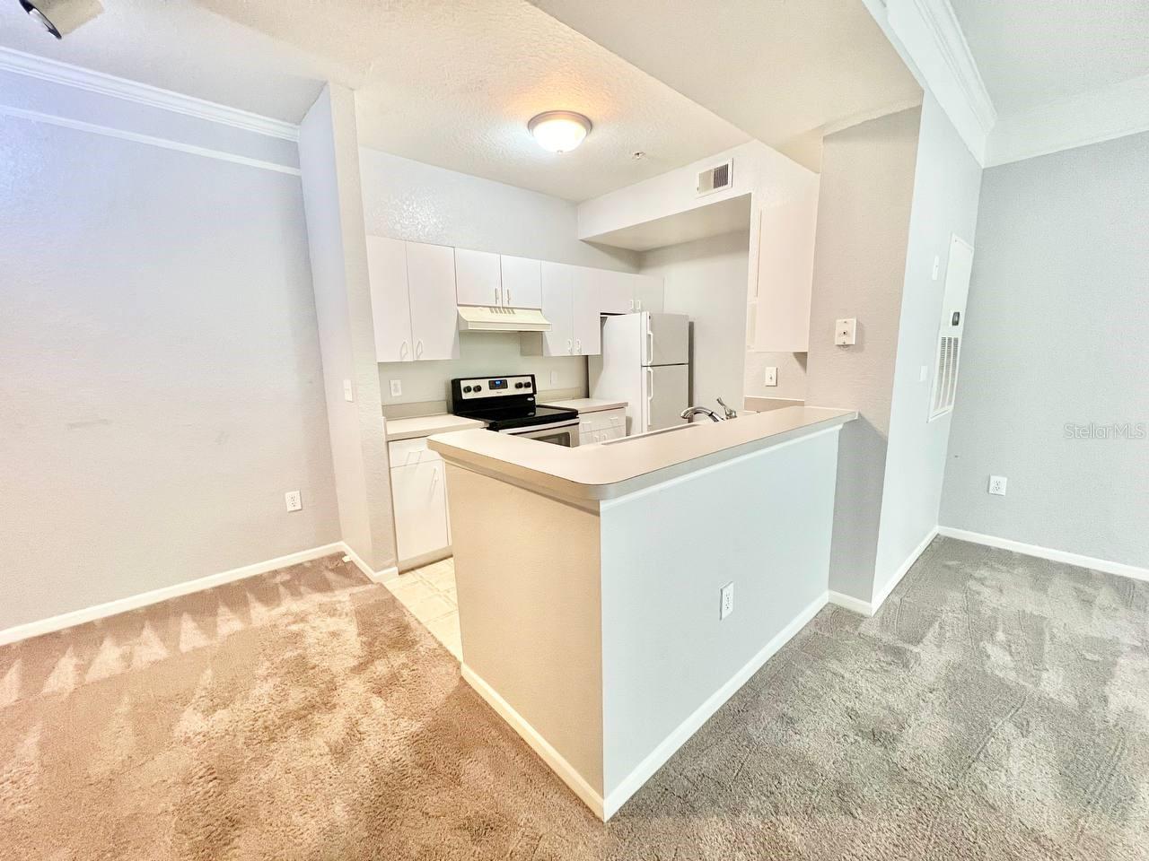 Image 11 of 30 For 17110 Carrington Park Drive 826