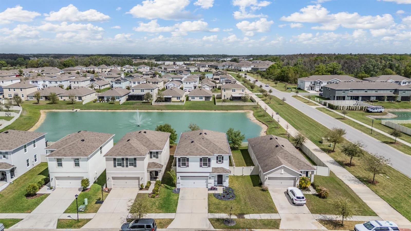 Image 3 of 55 For 32699 Dashel Palm Lane