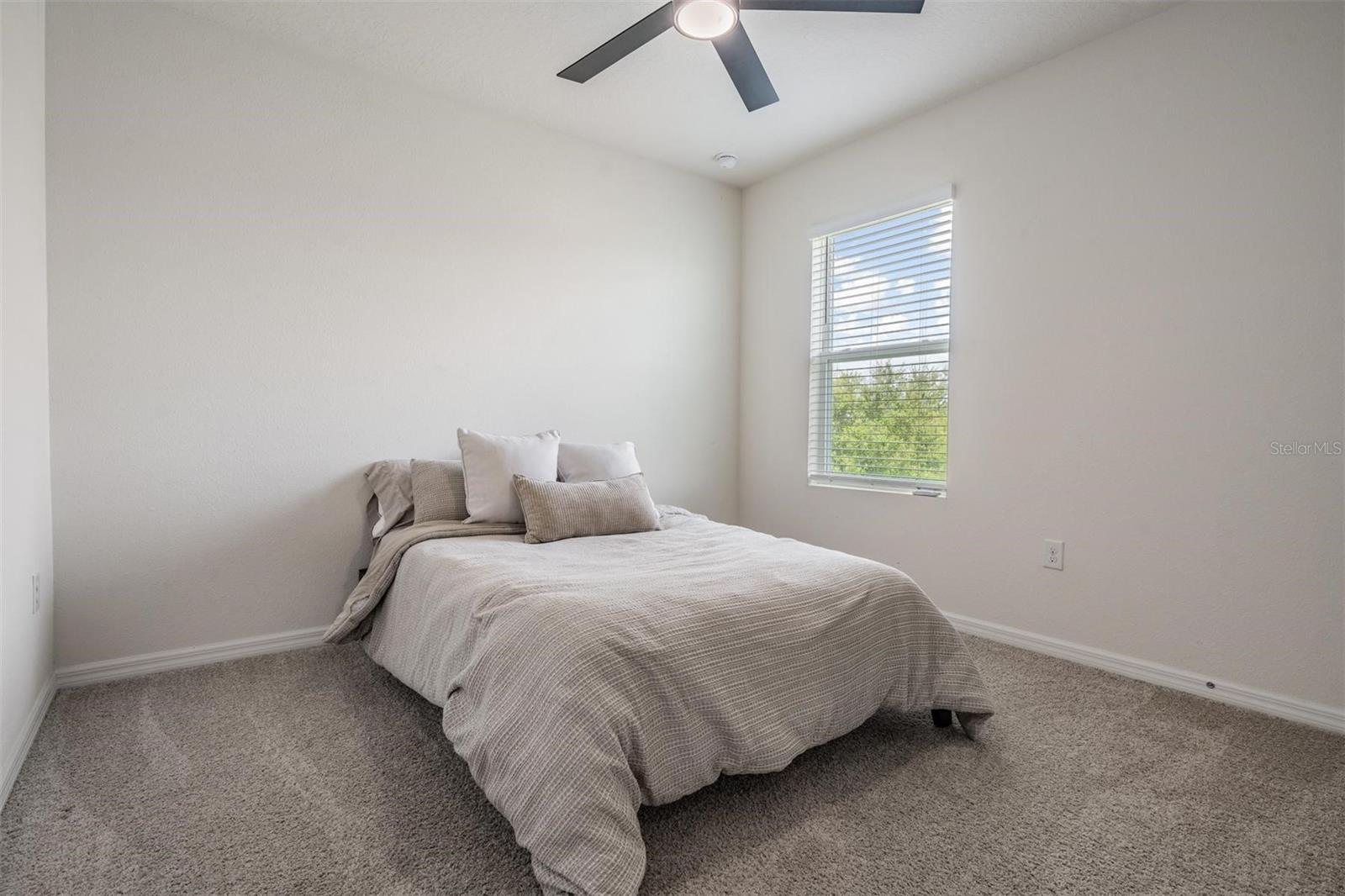 Image 31 of 55 For 32699 Dashel Palm Lane