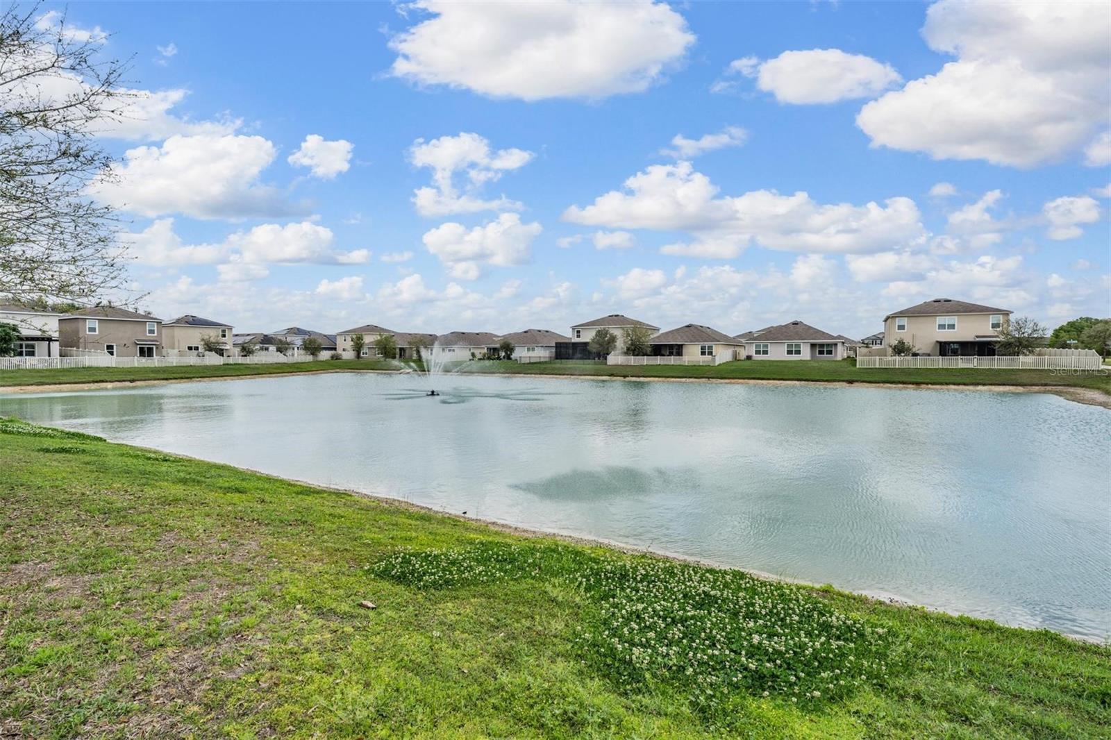 Image 35 of 55 For 32699 Dashel Palm Lane