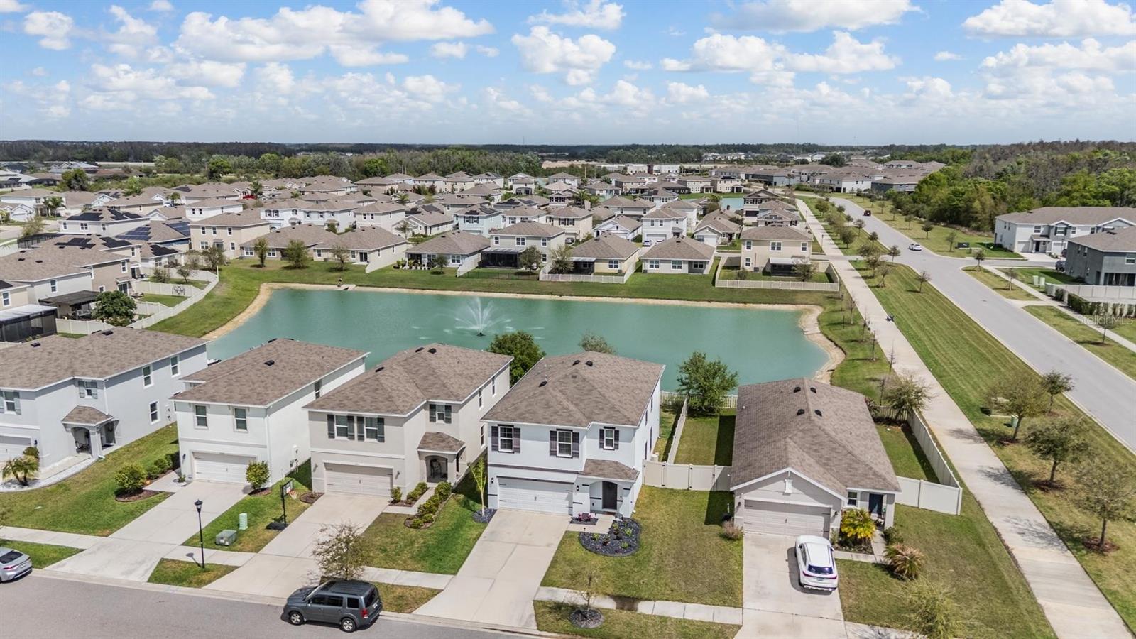 Image 37 of 55 For 32699 Dashel Palm Lane