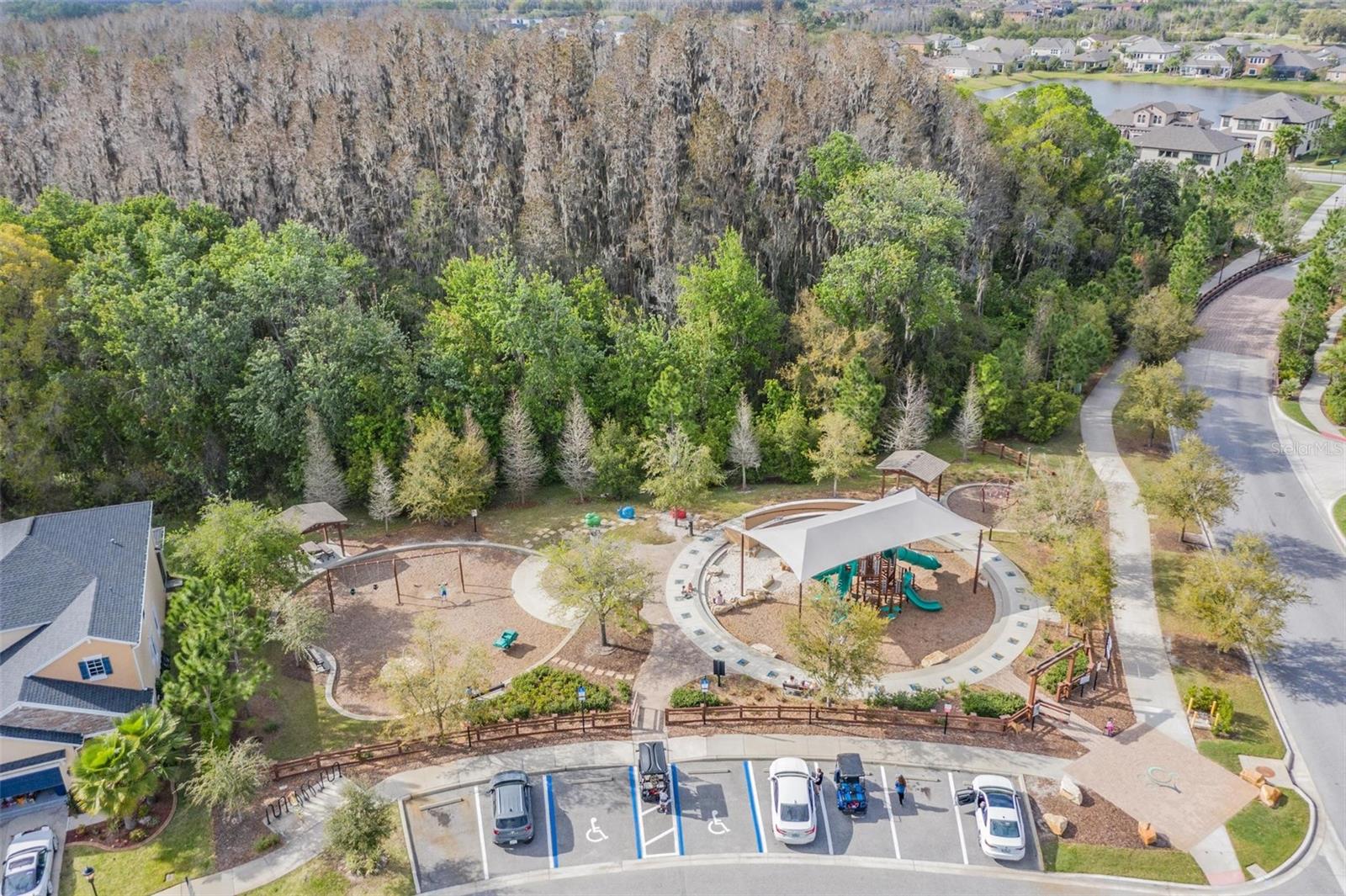 Image 40 of 55 For 32699 Dashel Palm Lane