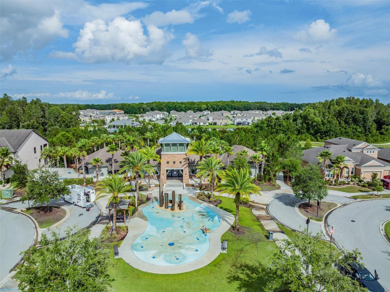 Image 42 of 55 For 32699 Dashel Palm Lane