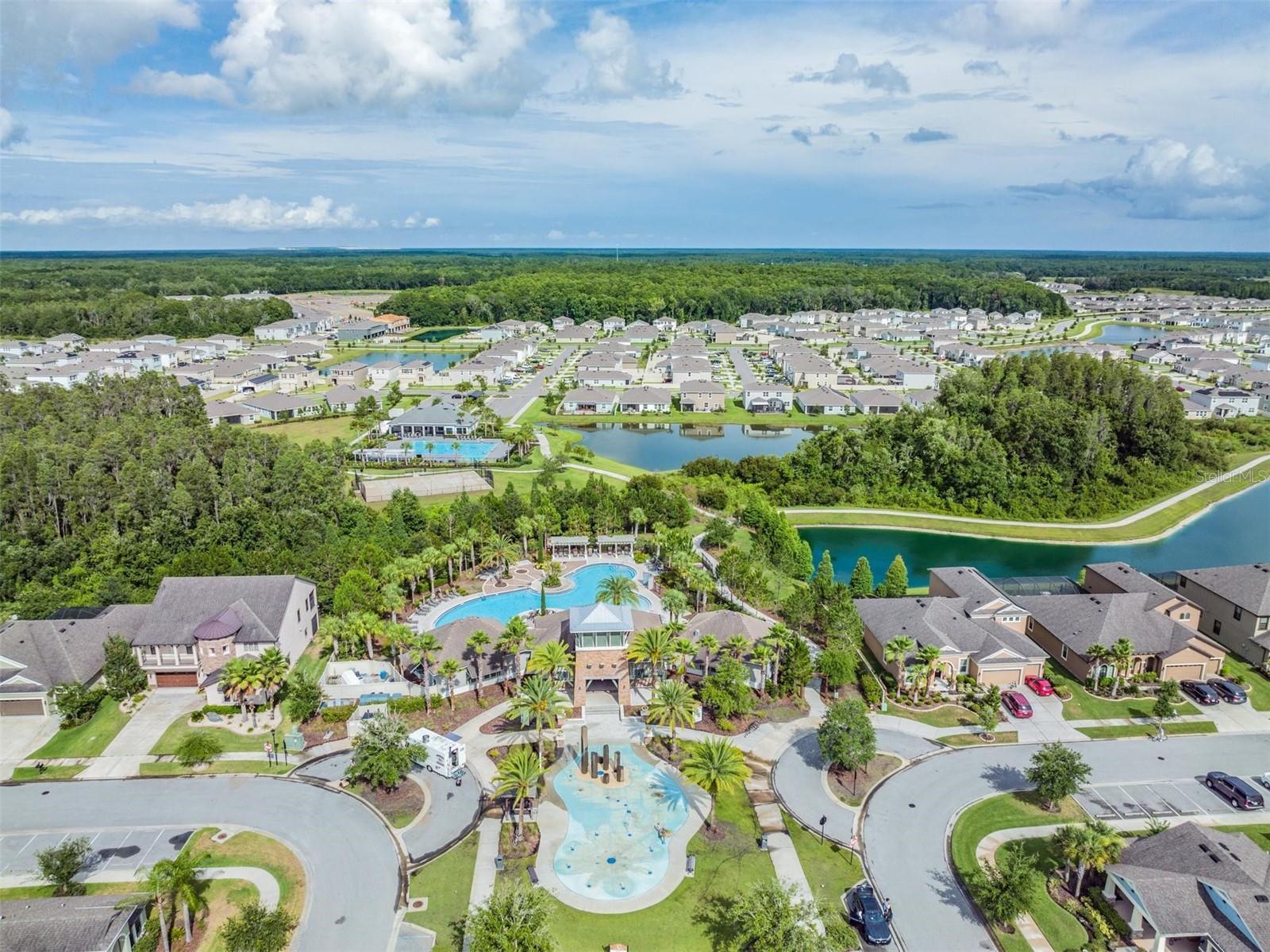 Image 43 of 55 For 32699 Dashel Palm Lane