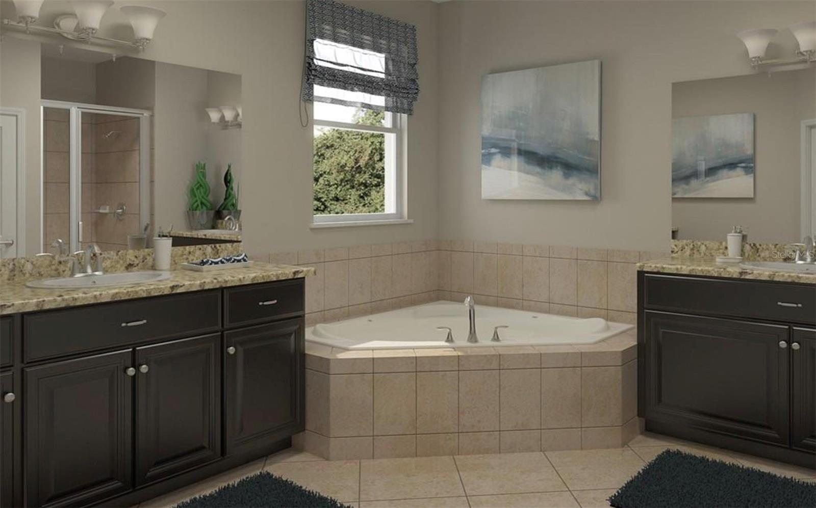 Image 4 of 16 For 10606 Bahama Woodstar Court