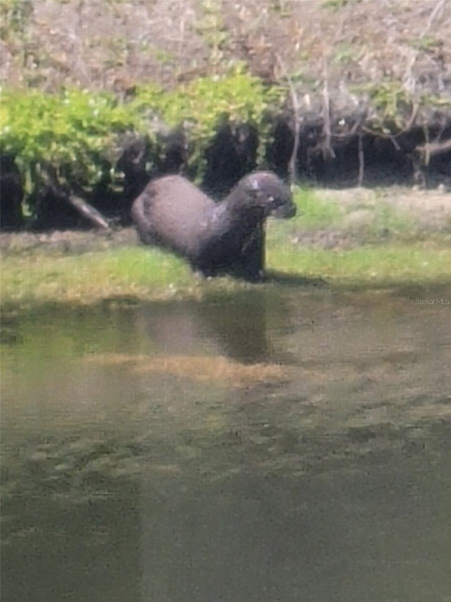 Image 53 of 53 For 732 Lighthouse Drive