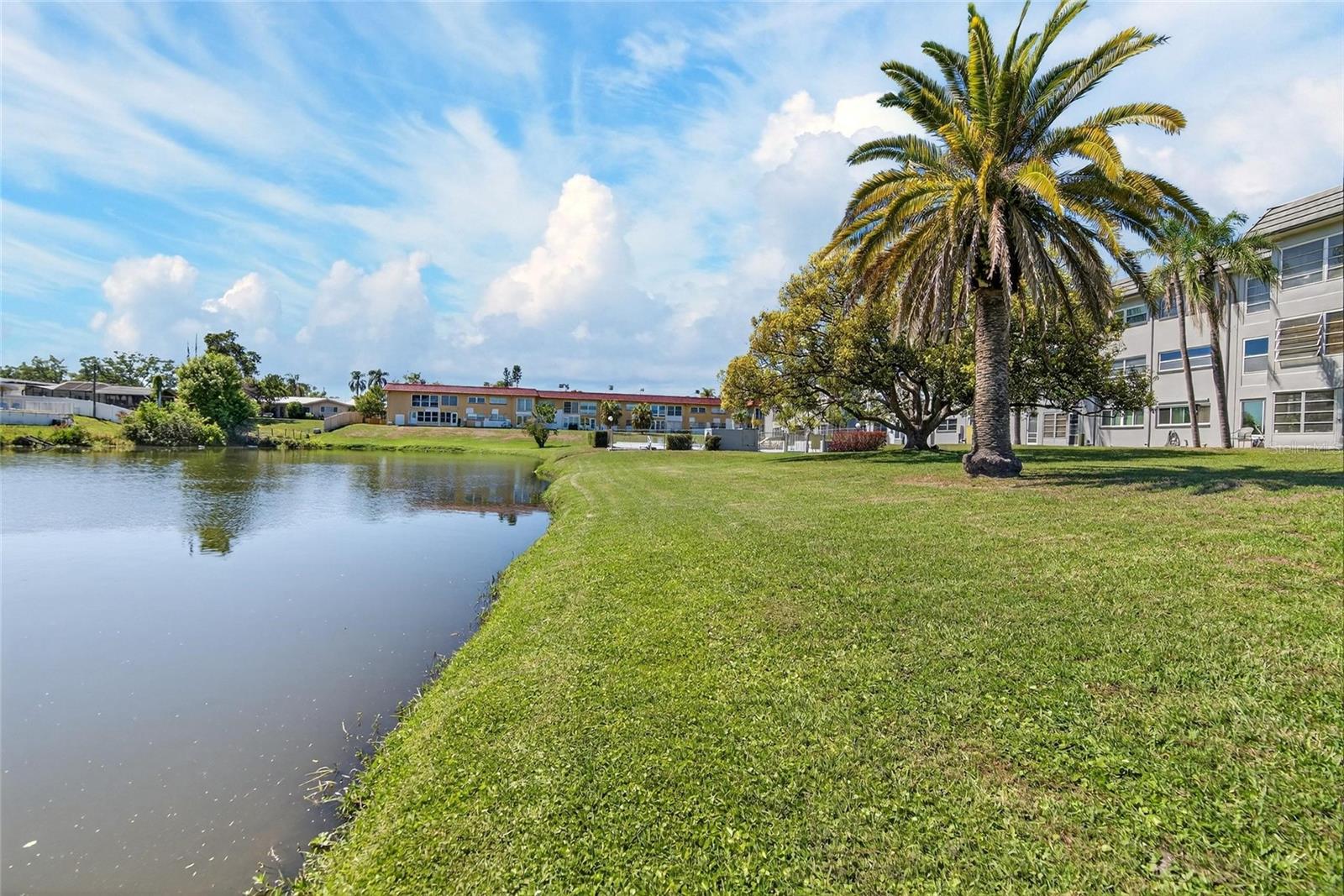 Image 41 of 52 For 1303 Hercules Avenue 2