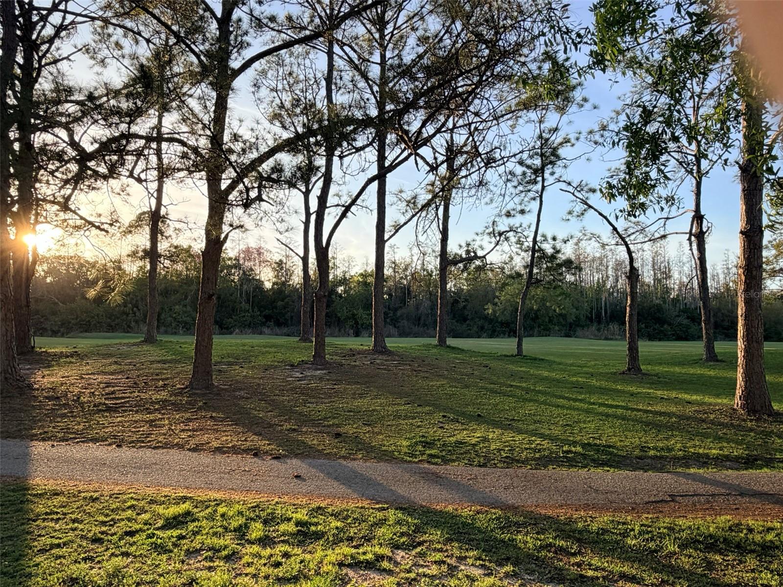 Image 36 of 37 For 16302 Rambling Vine Drive W