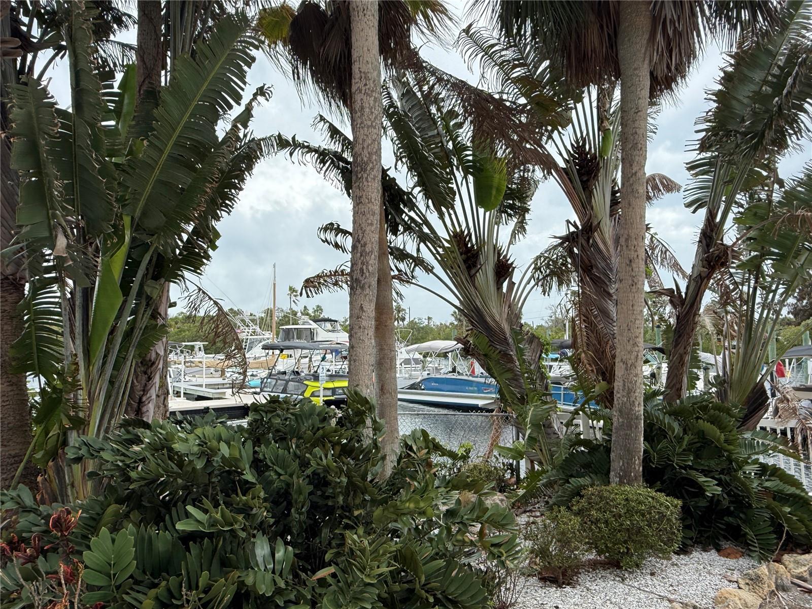 Image 36 of 44 For 4823 Ebbtide Lane 301