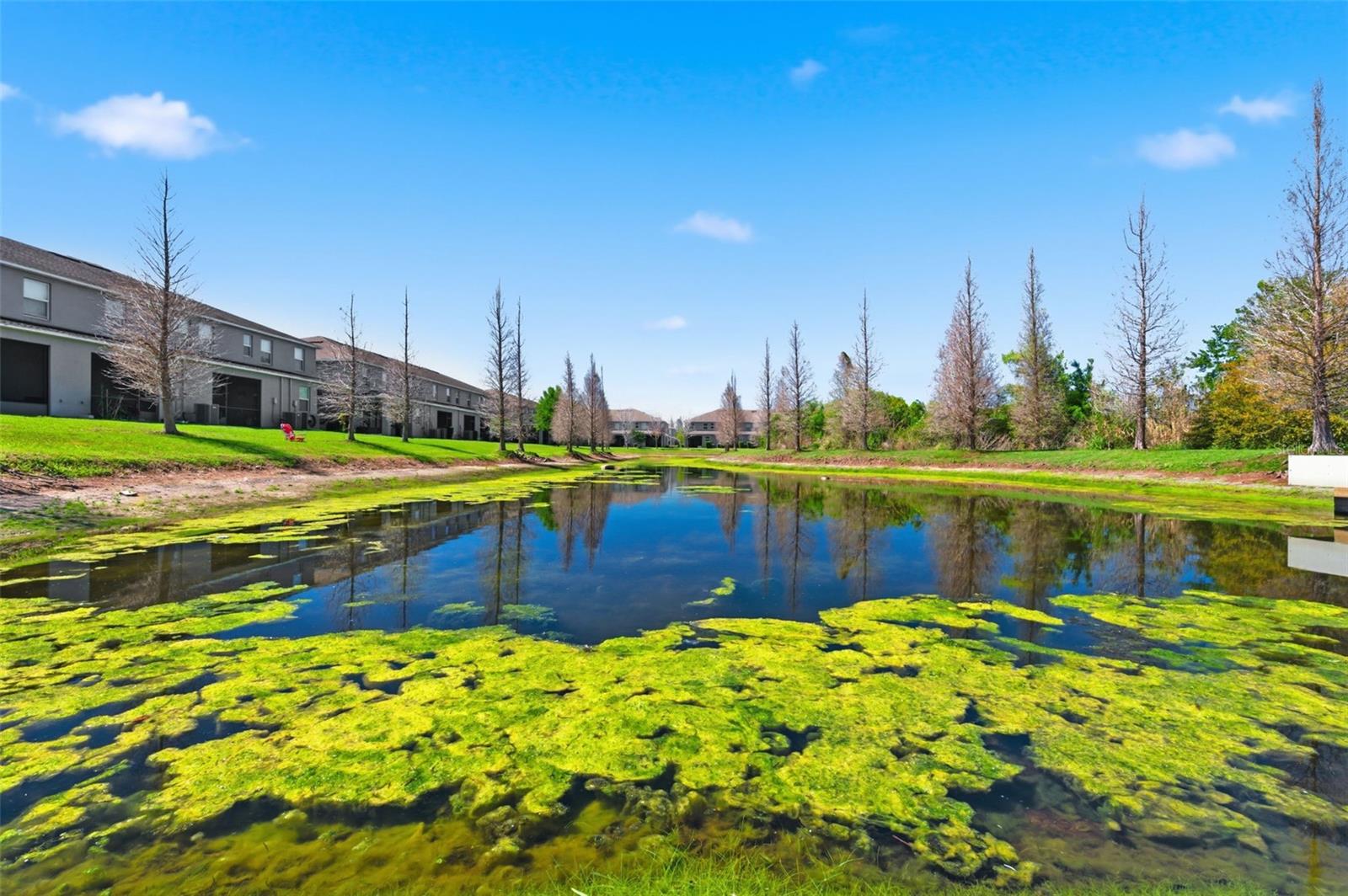 Image 39 of 48 For 10668 Lake Montauk Drive