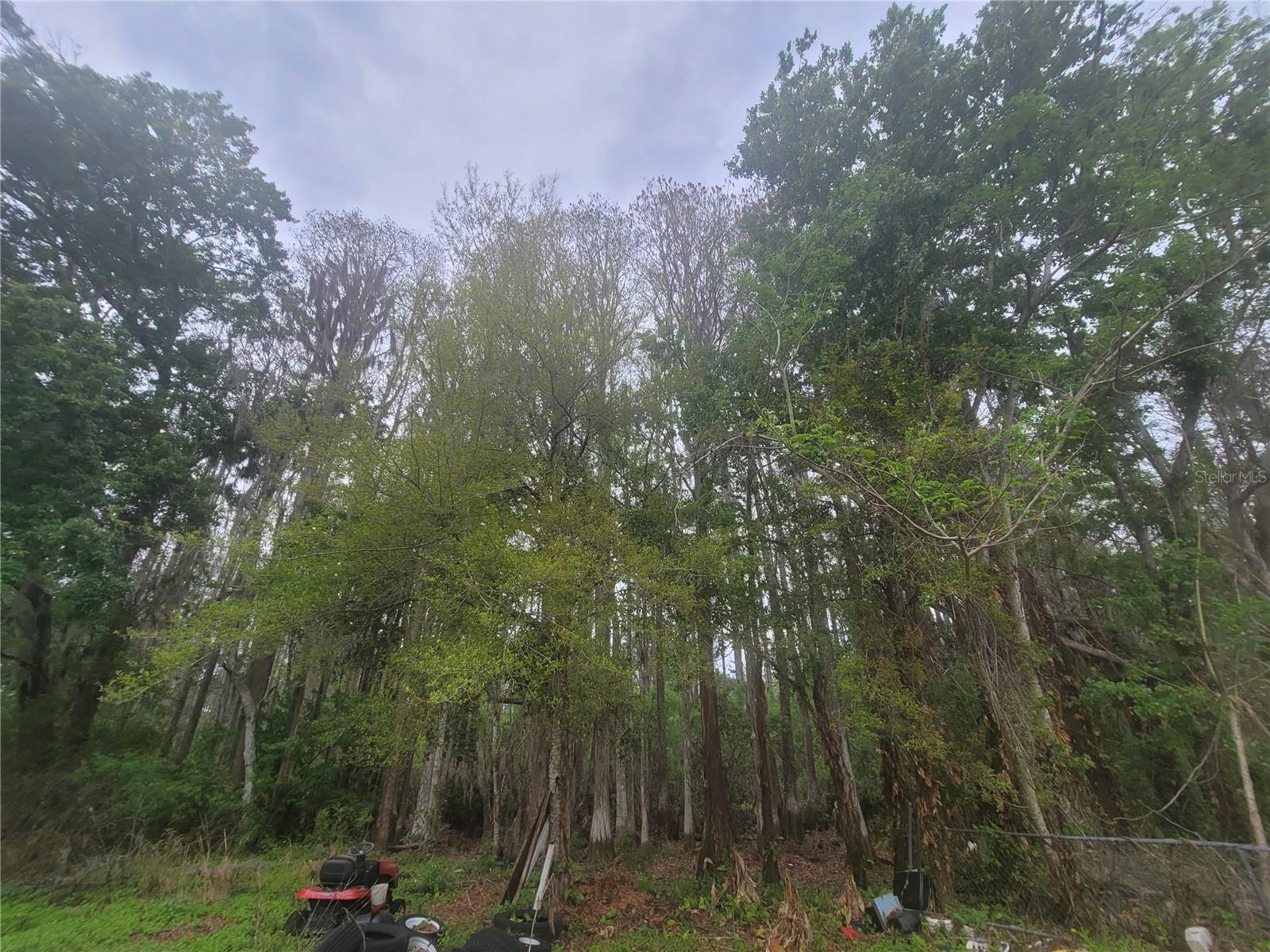 Image 13 of 18 For 11641 Bruin Drive