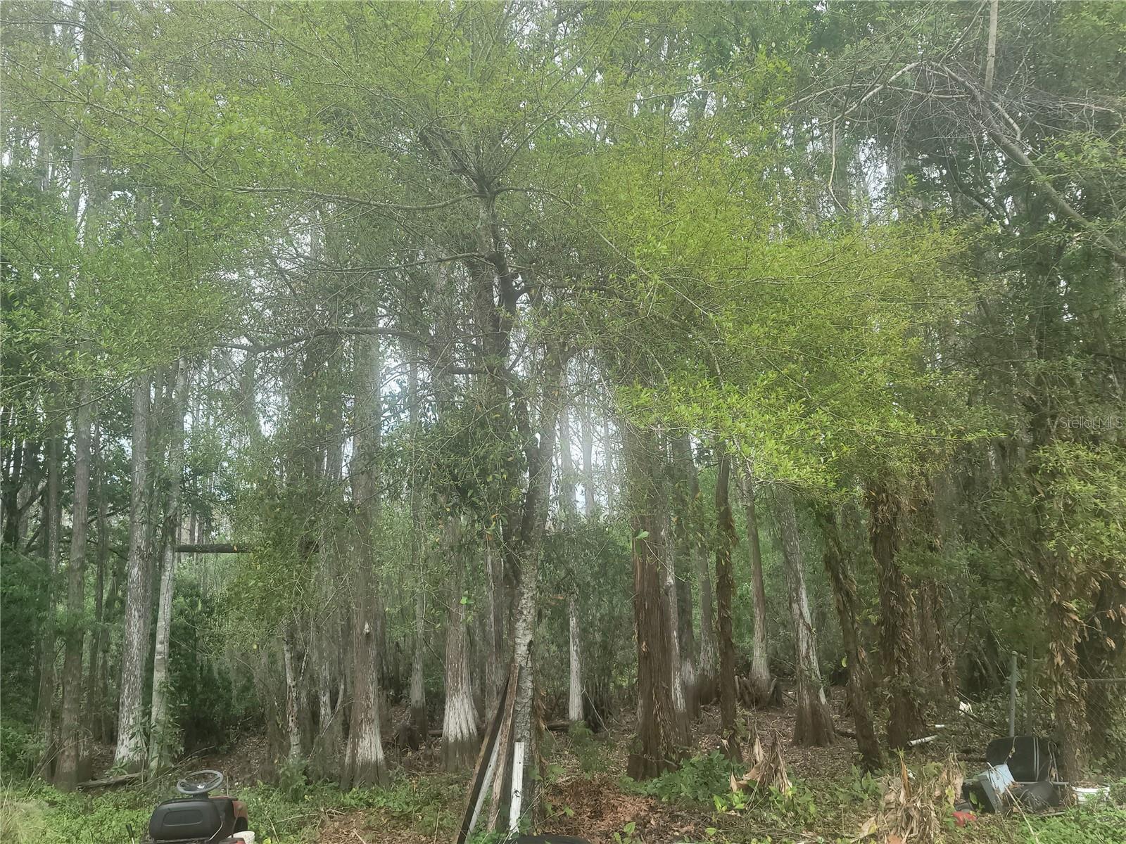 Image 14 of 18 For 11641 Bruin Drive